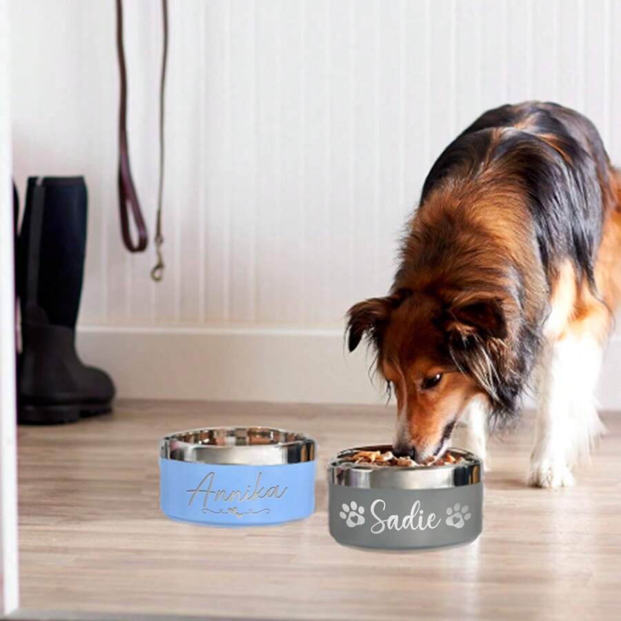 Multicolor stainless steel pet bowl with anti-slip and anti-spill base designed for medium and large dogs.