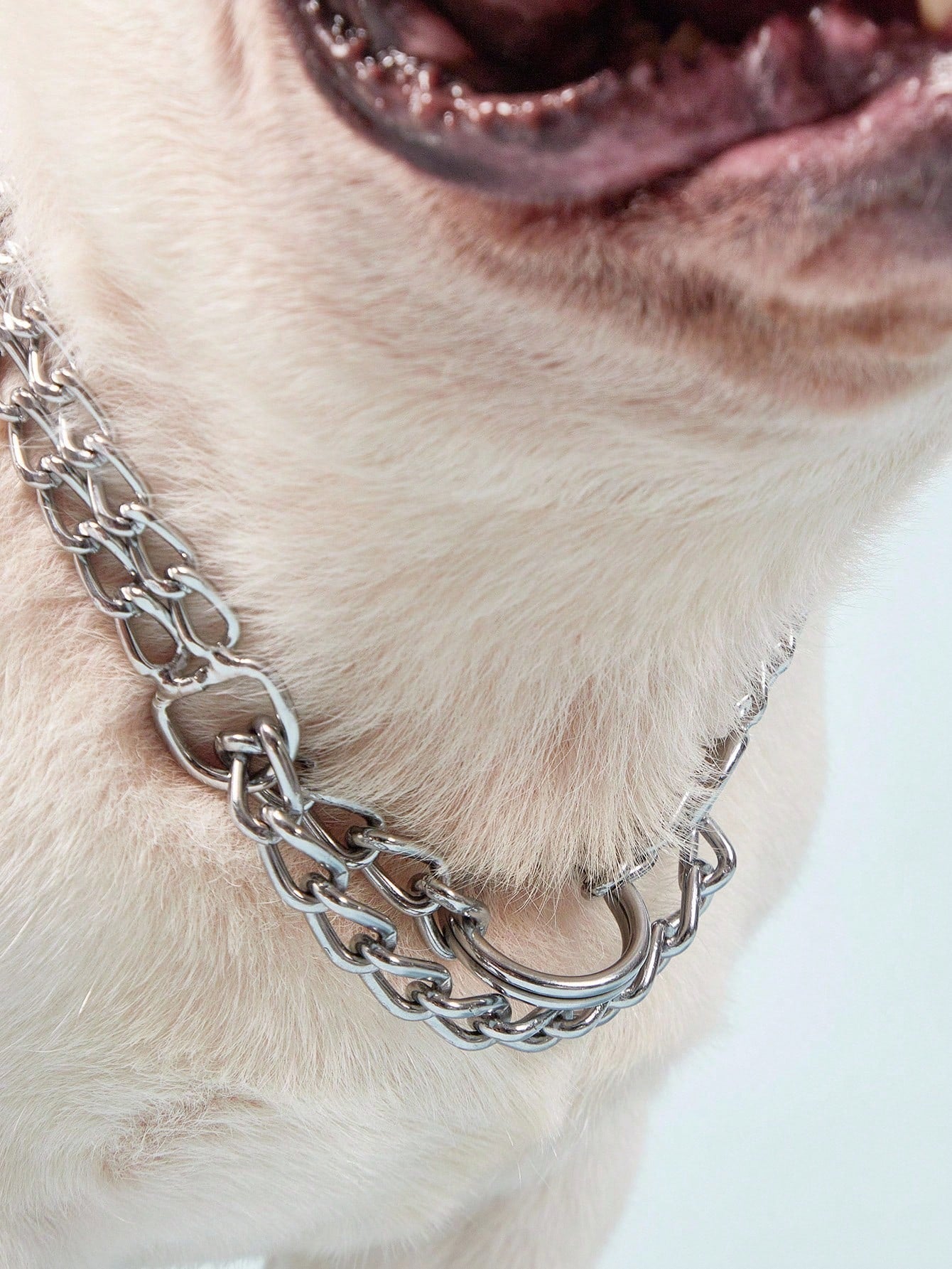 Silver stainless steel double chain choker collar for large dog breeds including Doberman, Cane Corso, and Rottweiler