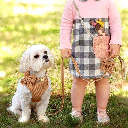 1set Faux Suede Bow Dog Collar With Chest Harness And Leash