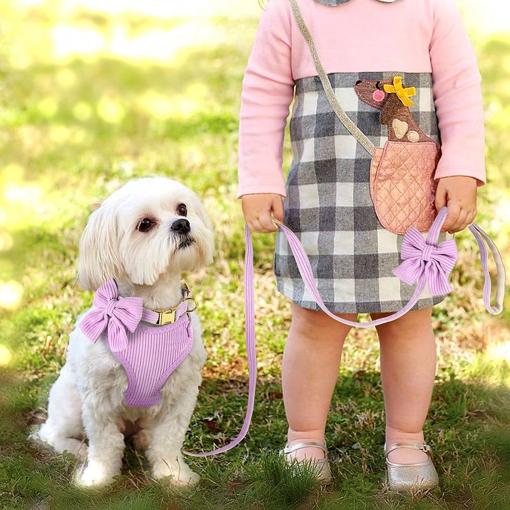 Rose red velvet bow dog collar, leash, and harness set for cats and dogs, made with polyester for everyday pet walks and styling.