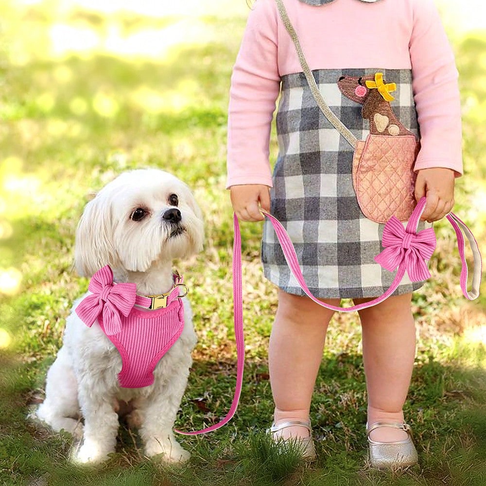 Rose red velvet bow dog collar, leash, and harness set for cats and dogs, made with polyester for everyday pet walks and styling.