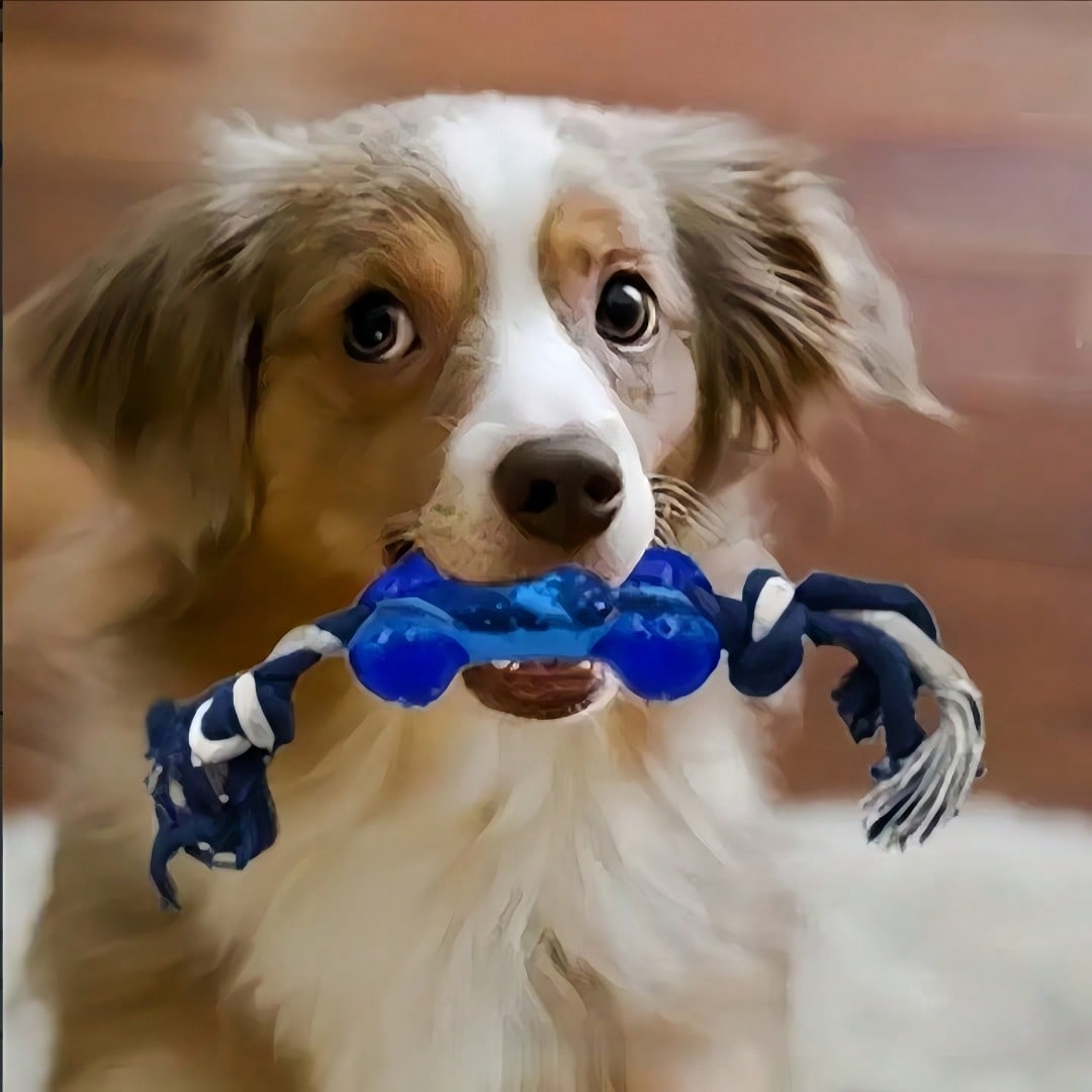 4pcs Pet Toy Set, Cute Durable Dog Toys, Dog , Ball, Rope Toys, Interactive Puzzle Toys, Dog Gifts (Random Style & Color)