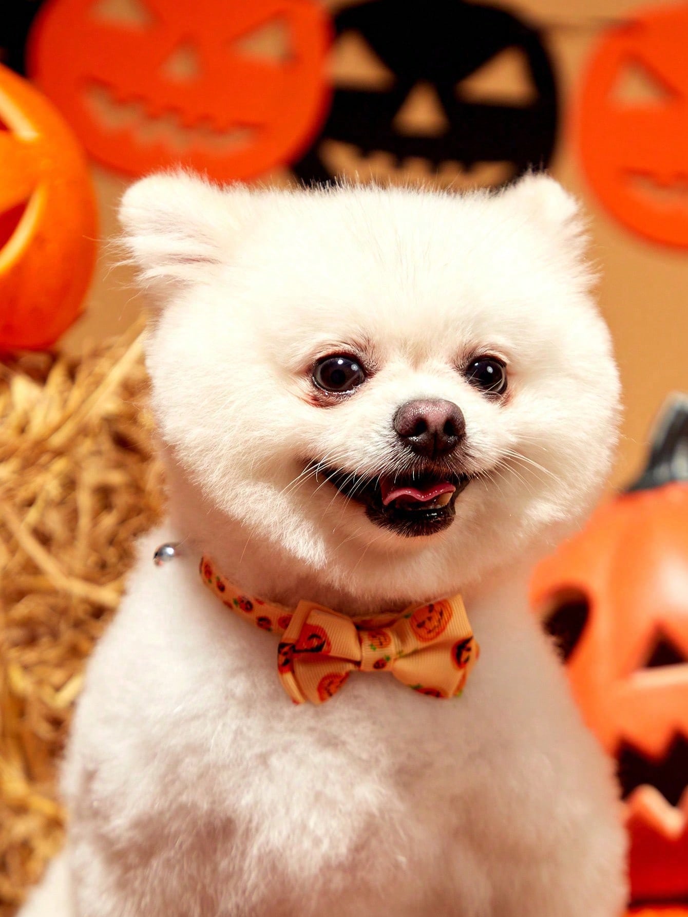 Adjustable multicolor Halloween pet collar with pumpkin pattern, bow, and bell for cats and dogs