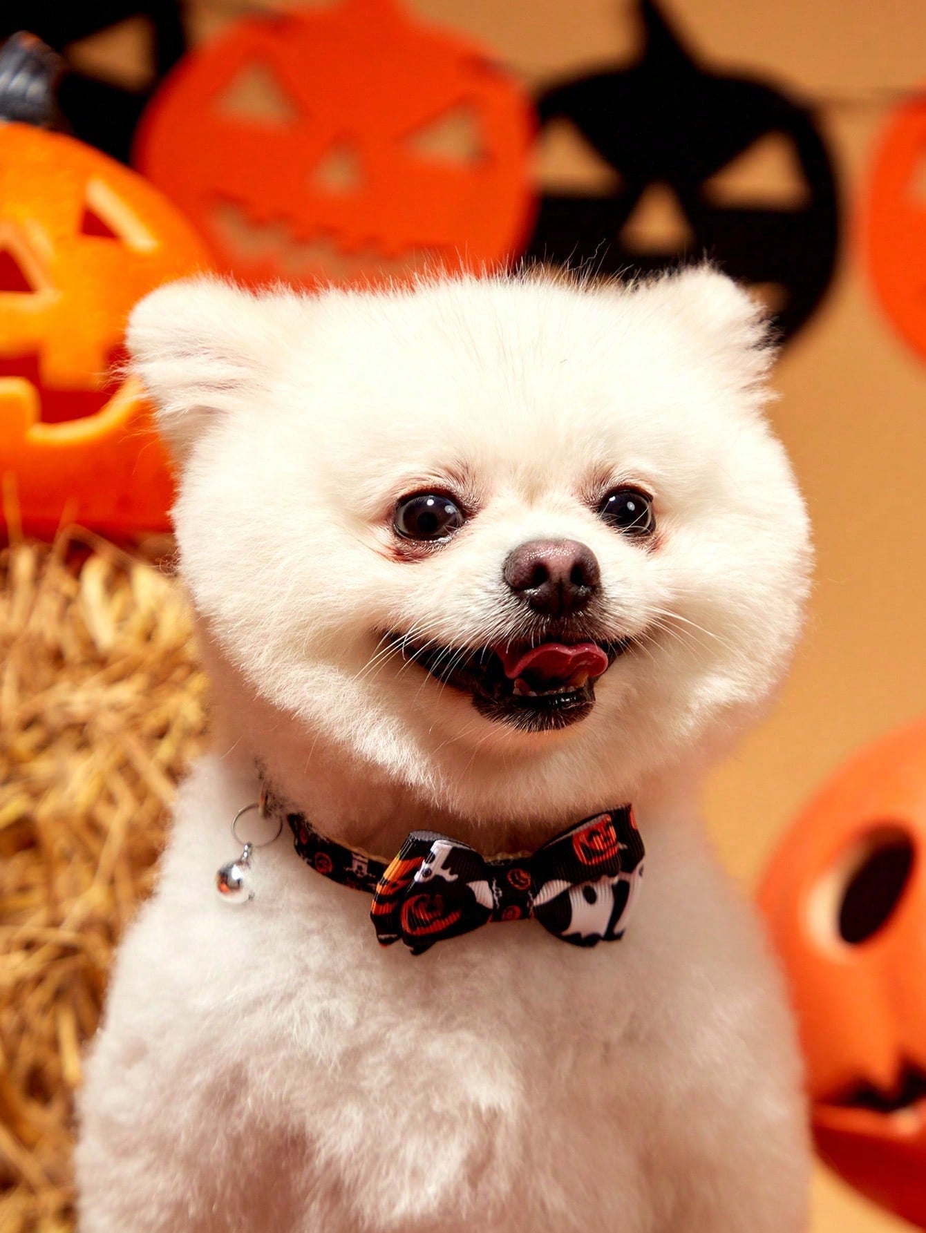Adjustable multicolor Halloween pet collar with pumpkin pattern, bow, and bell for cats and dogs