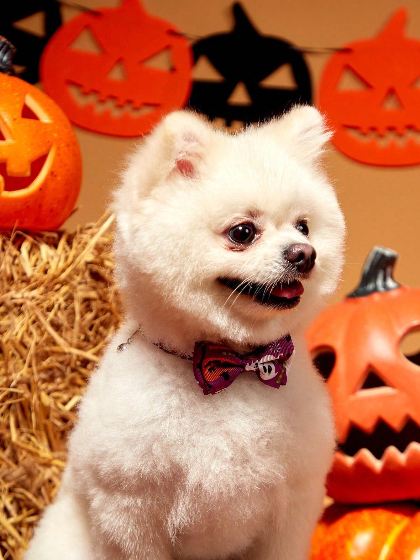 Adjustable multicolor Halloween pet collar with pumpkin pattern, bow, and bell for cats and dogs