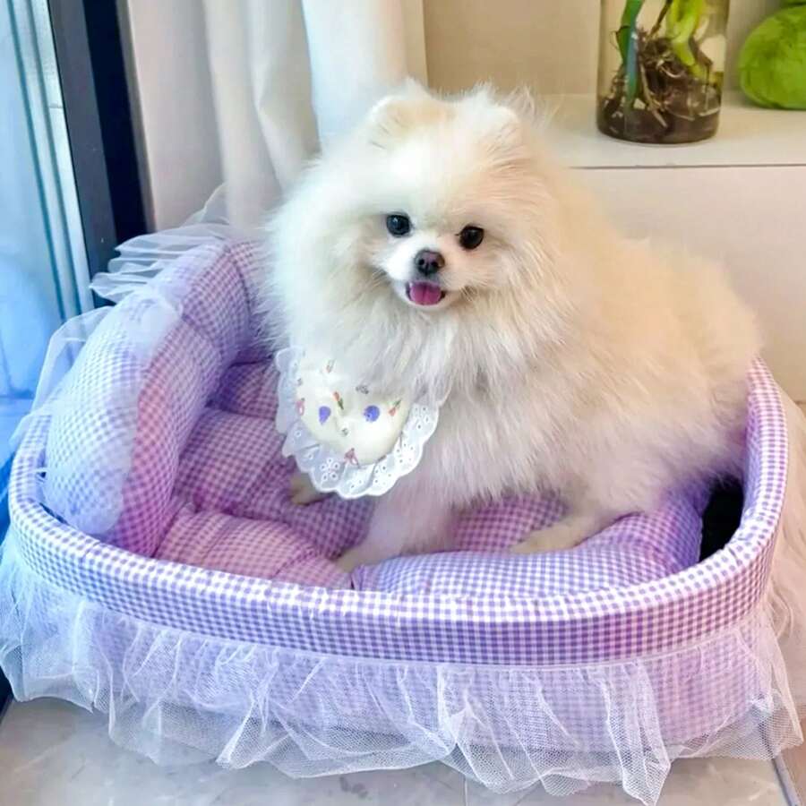 Multicolor four seasons pet bed with 100% polyester fabric and padding for cats and small dogs up to 6kg.