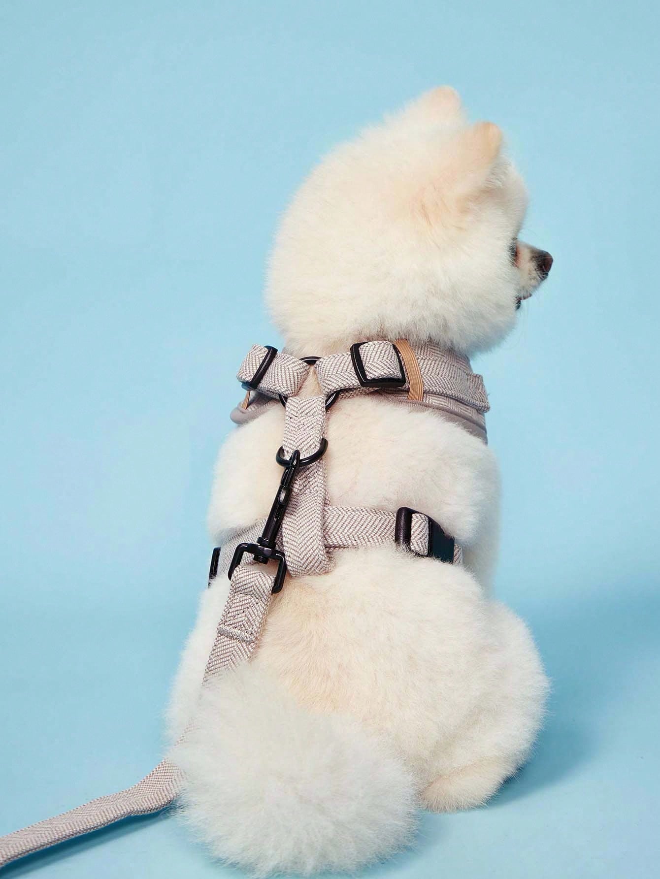 Khaki adjustable polyester pet harness and leash set with textured pattern for small to medium cats and dogs