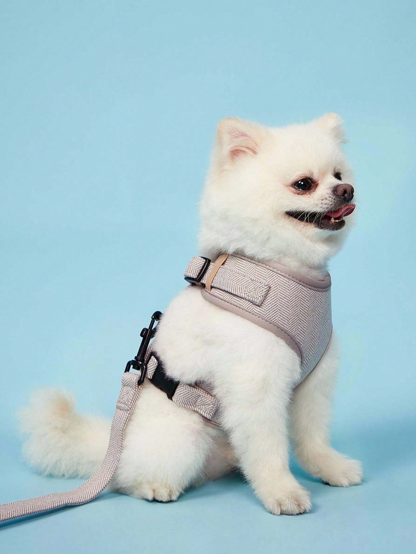 Khaki adjustable polyester pet harness and leash set with textured pattern for small to medium cats and dogs