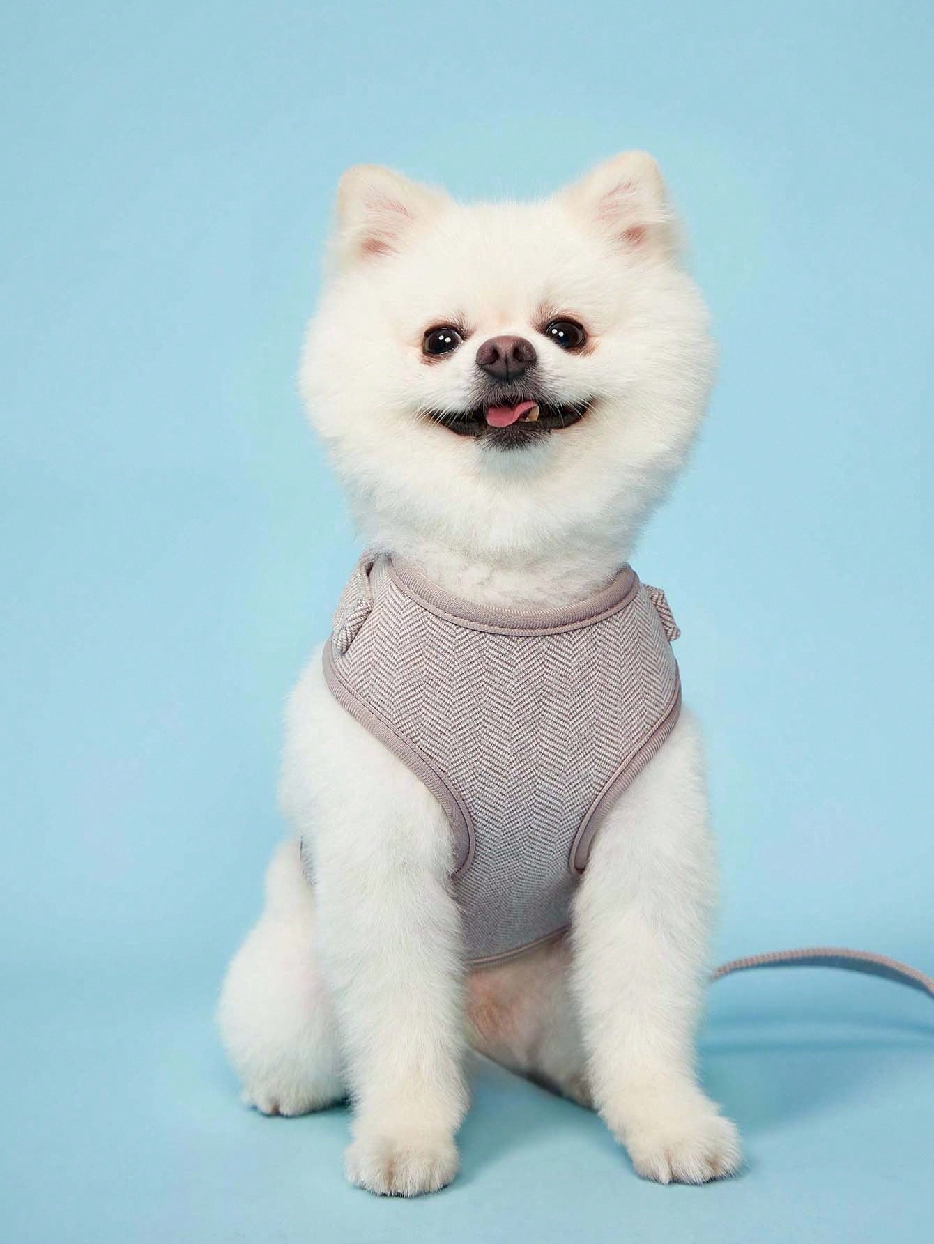 Khaki adjustable polyester pet harness and leash set with textured pattern for small to medium cats and dogs