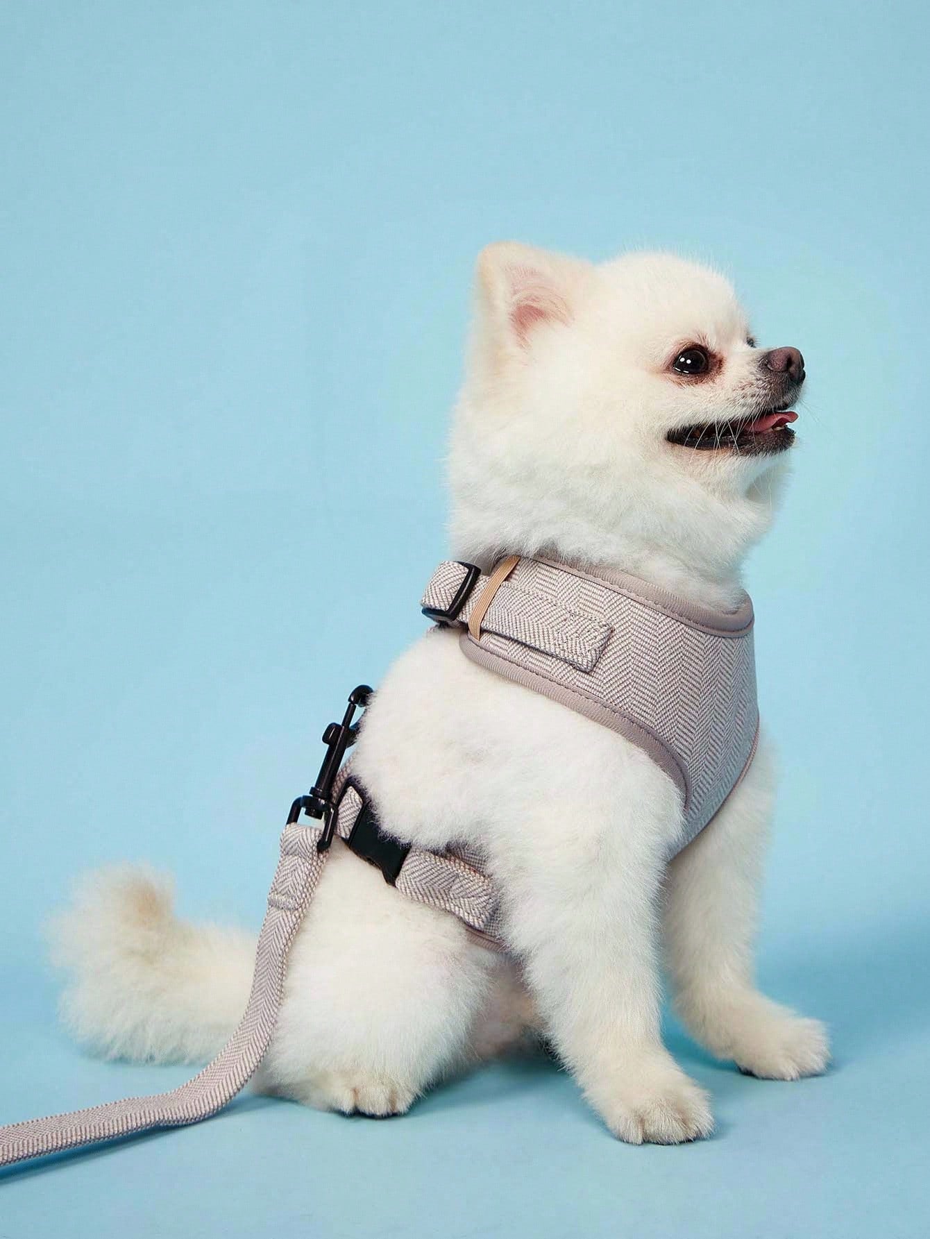 Khaki adjustable polyester pet harness and leash set with textured pattern for small to medium cats and dogs