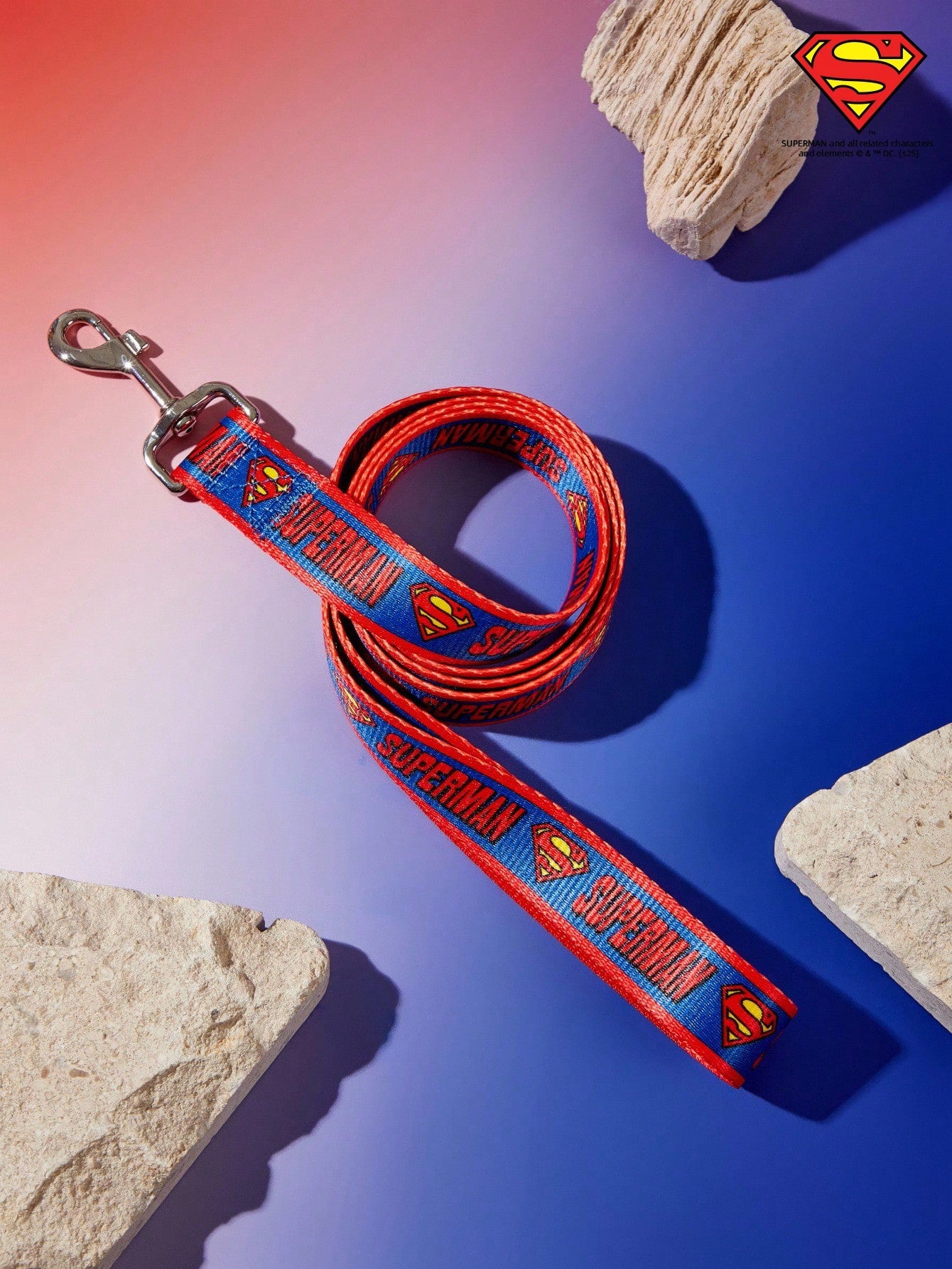 Multicolor logo printed nylon dog leash with sturdy construction and comfortable grip for daily walks