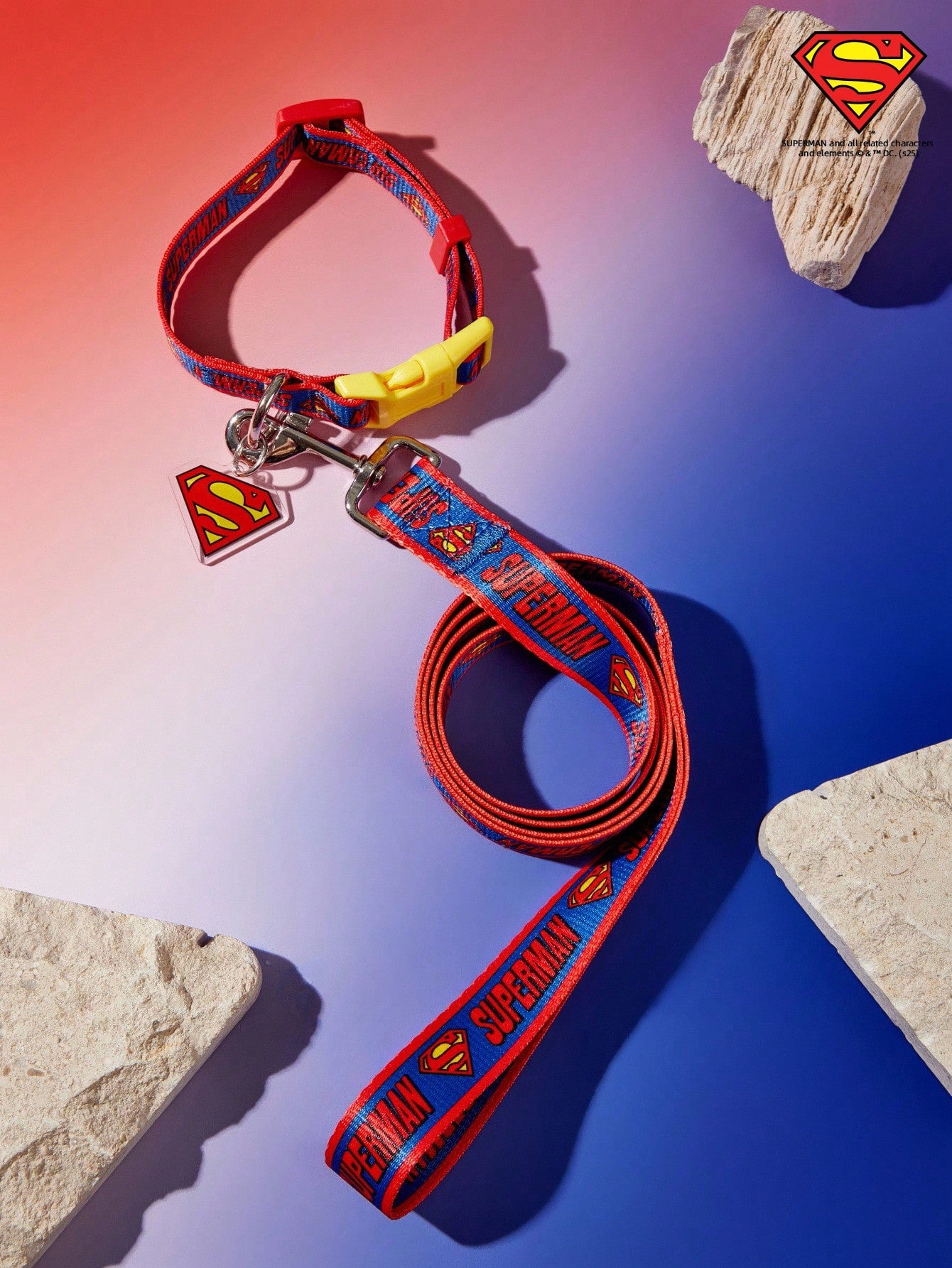 Multicolor logo printed nylon dog leash with sturdy construction and comfortable grip for daily walks