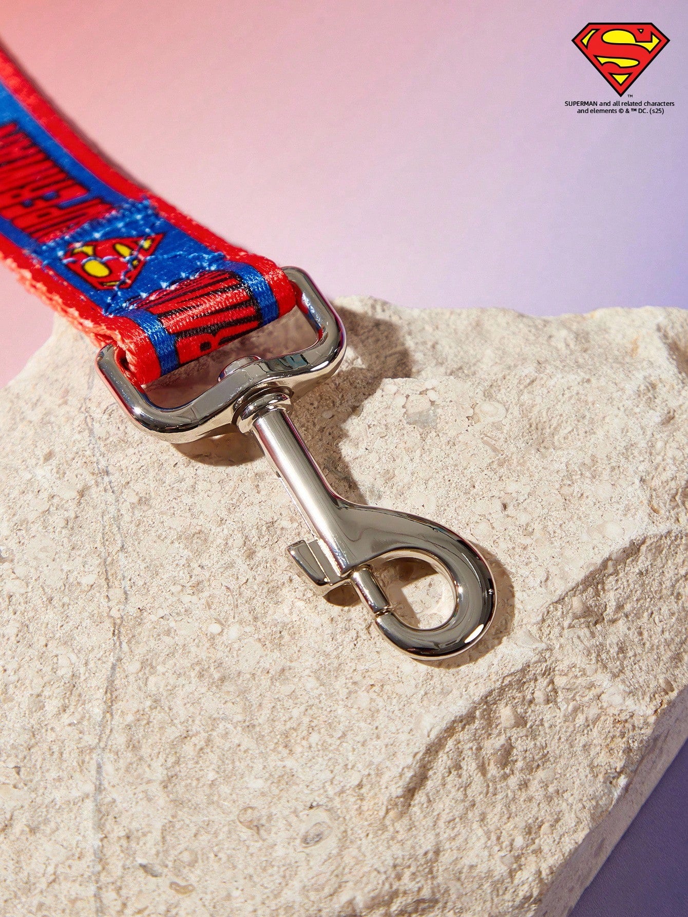 Multicolor logo printed nylon dog leash with sturdy construction and comfortable grip for daily walks
