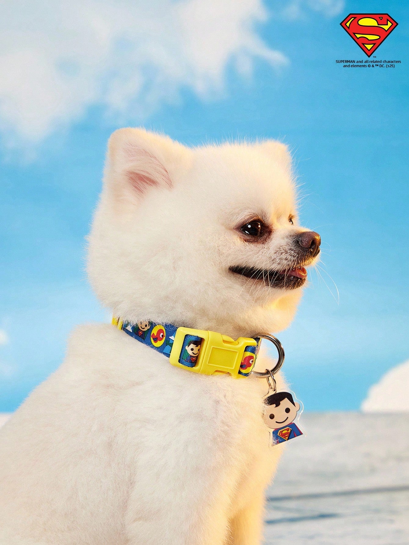 Green polyester X PENSIN pet collar with cartoon pattern and matching pendant for cats and dogs