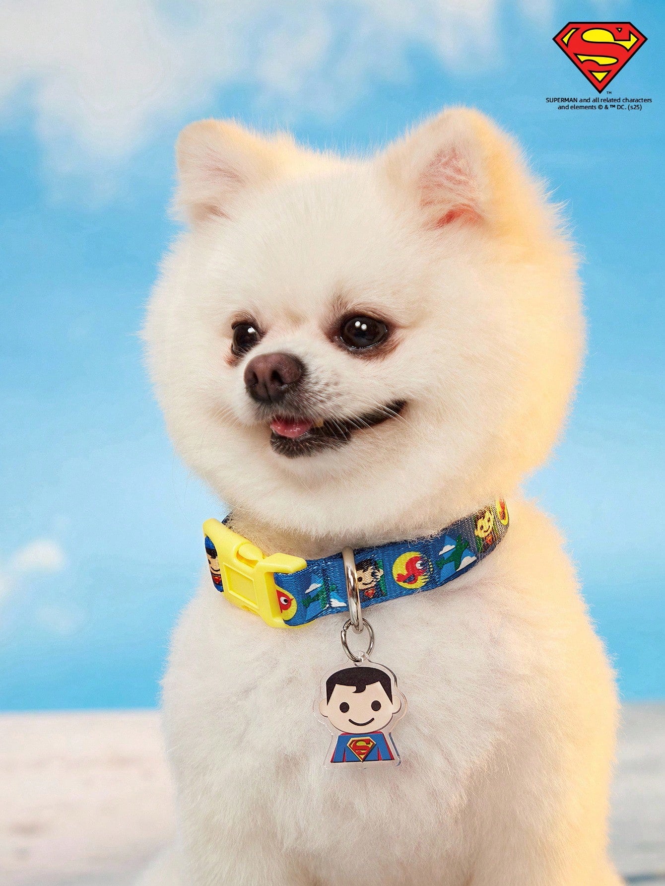 Green polyester X PENSIN pet collar with cartoon pattern and matching pendant for cats and dogs