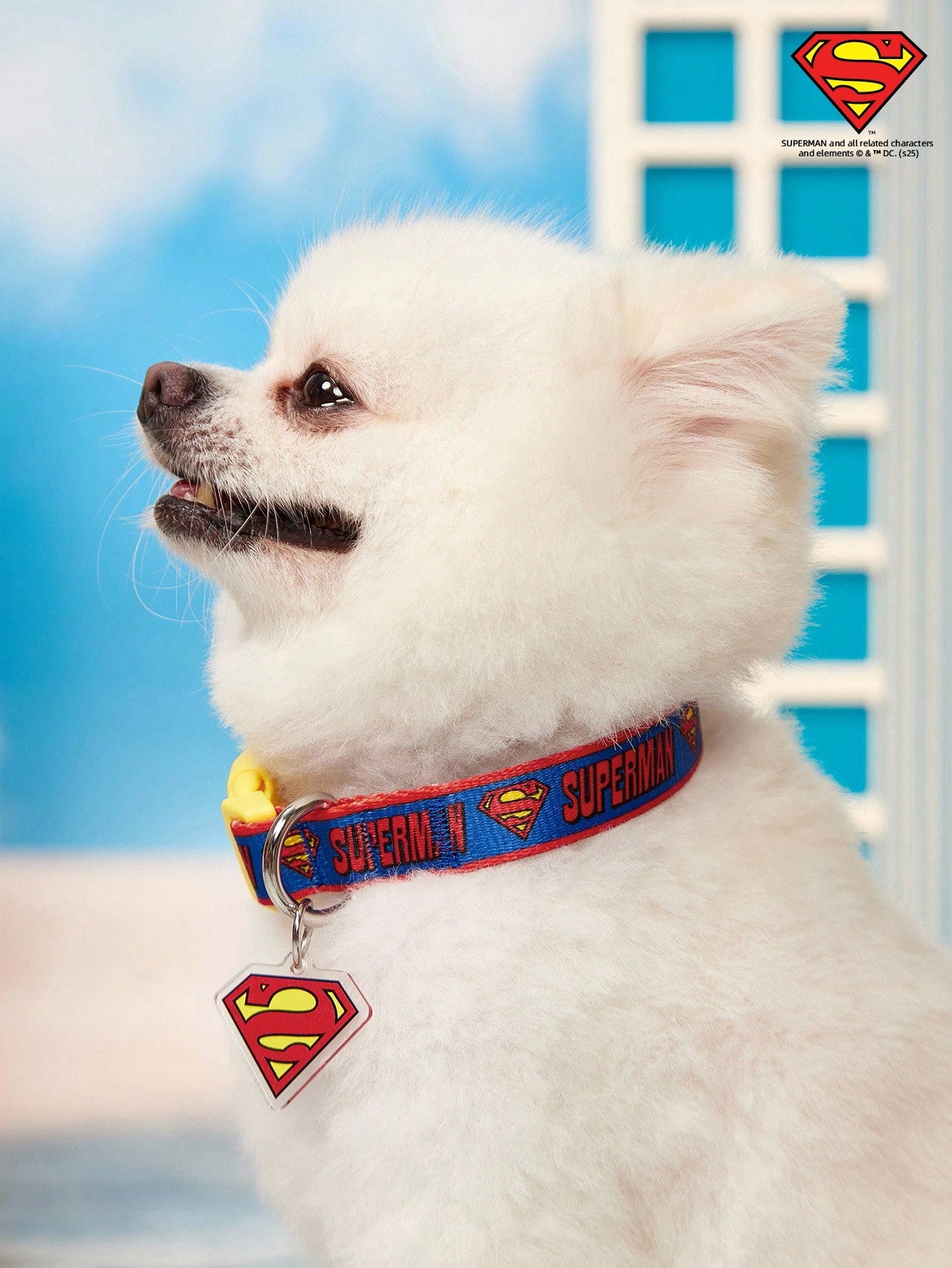 Green polyester X PENSIN pet collar with cartoon pattern and matching pendant for cats and dogs