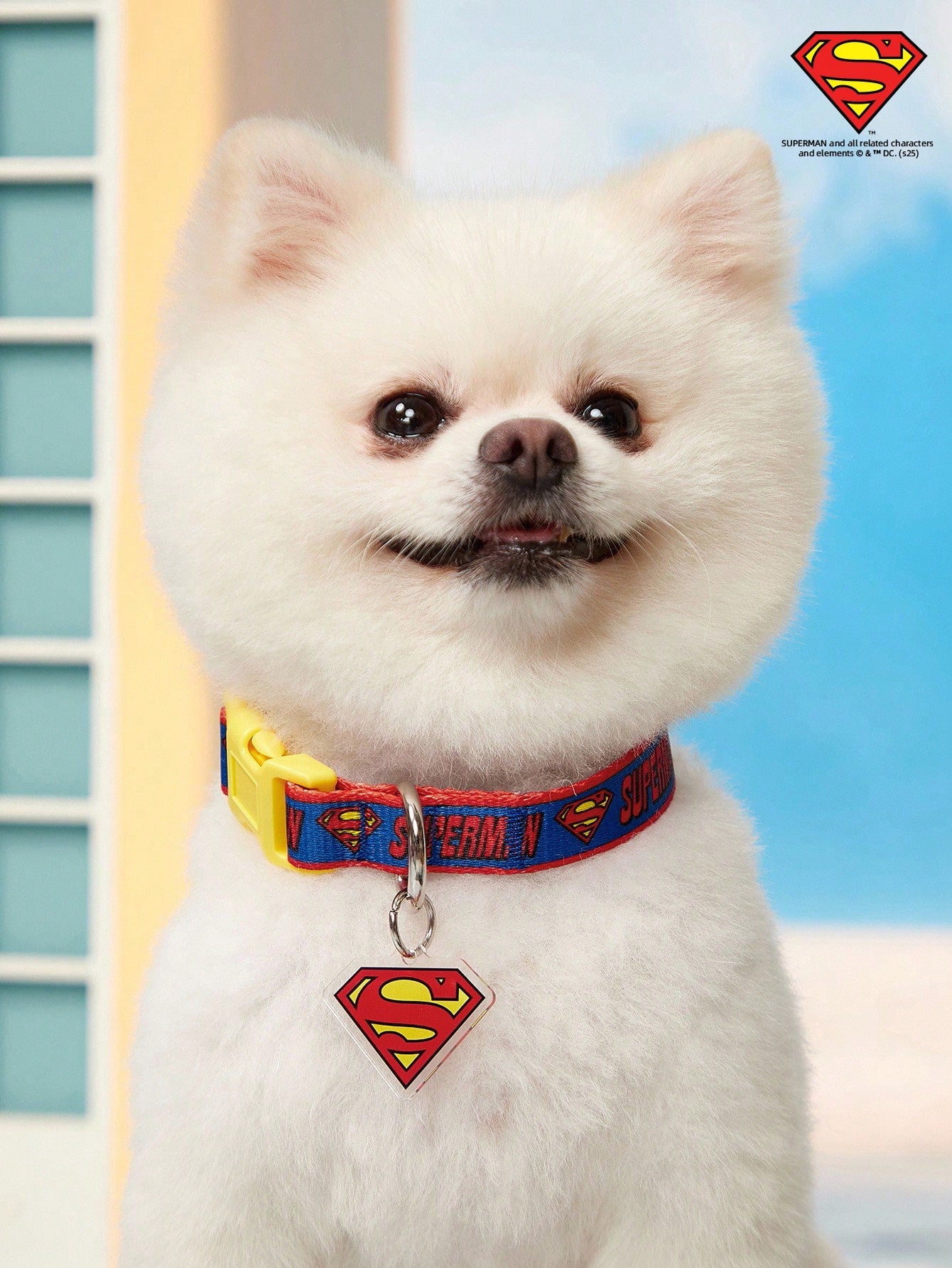 Multicolor printed polyamide webbing dog collar with letter pattern and buckle closure for everyday dog wear