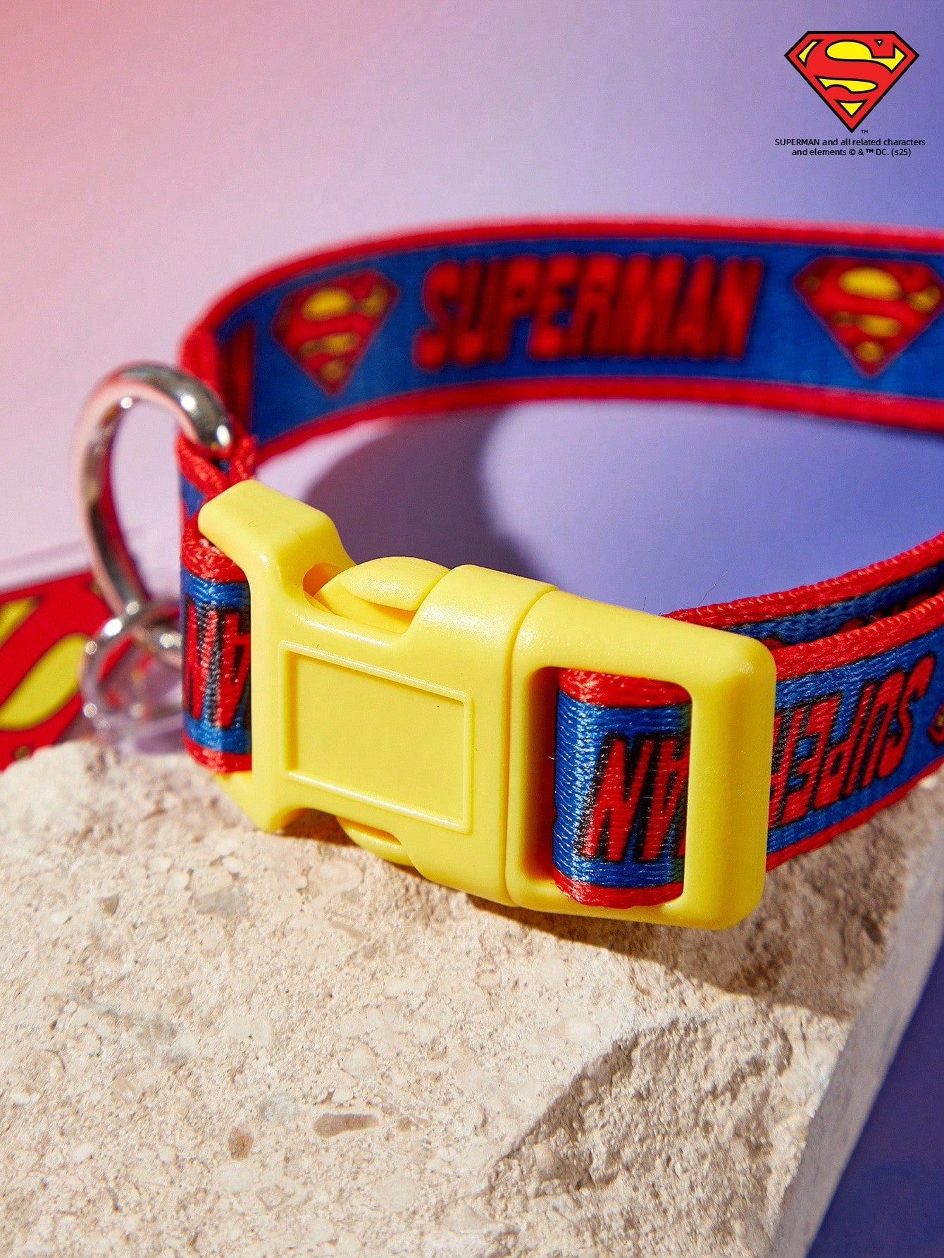 Multicolor printed polyamide webbing dog collar with letter pattern and buckle closure for everyday dog wear