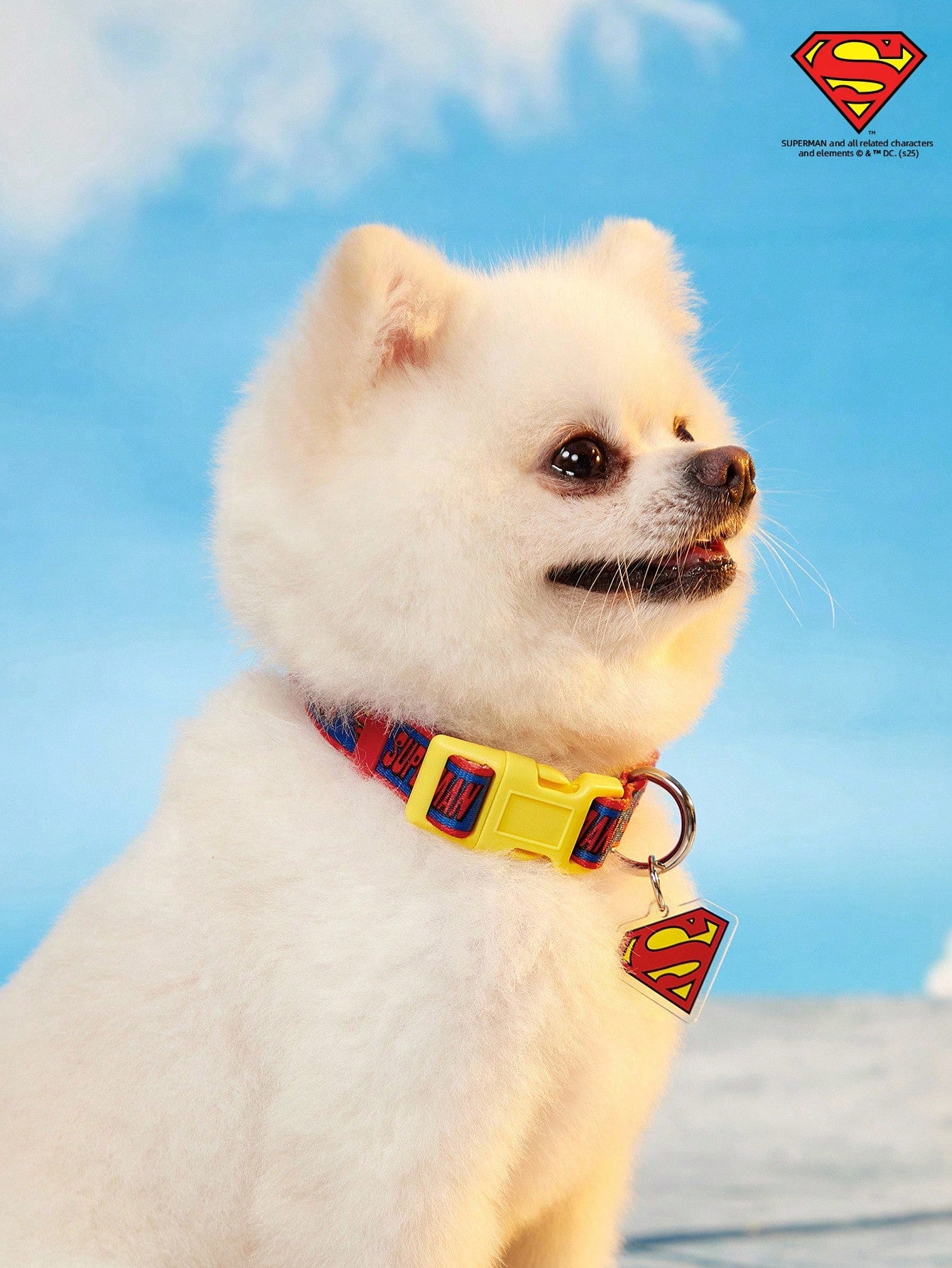 Green polyester X PENSIN pet collar with cartoon pattern and matching pendant for cats and dogs