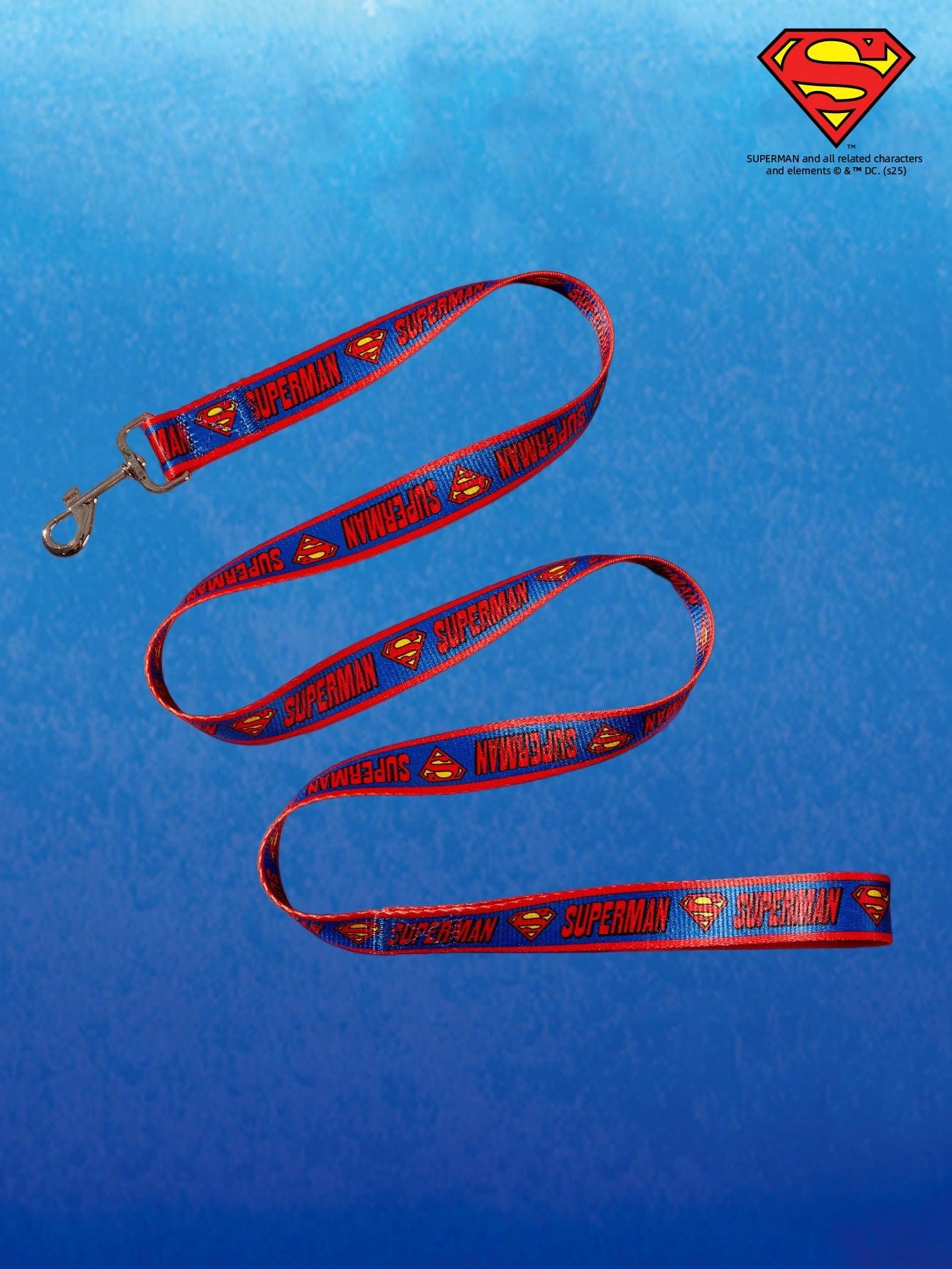 Multicolor logo printed nylon dog leash with sturdy construction and comfortable grip for daily walks