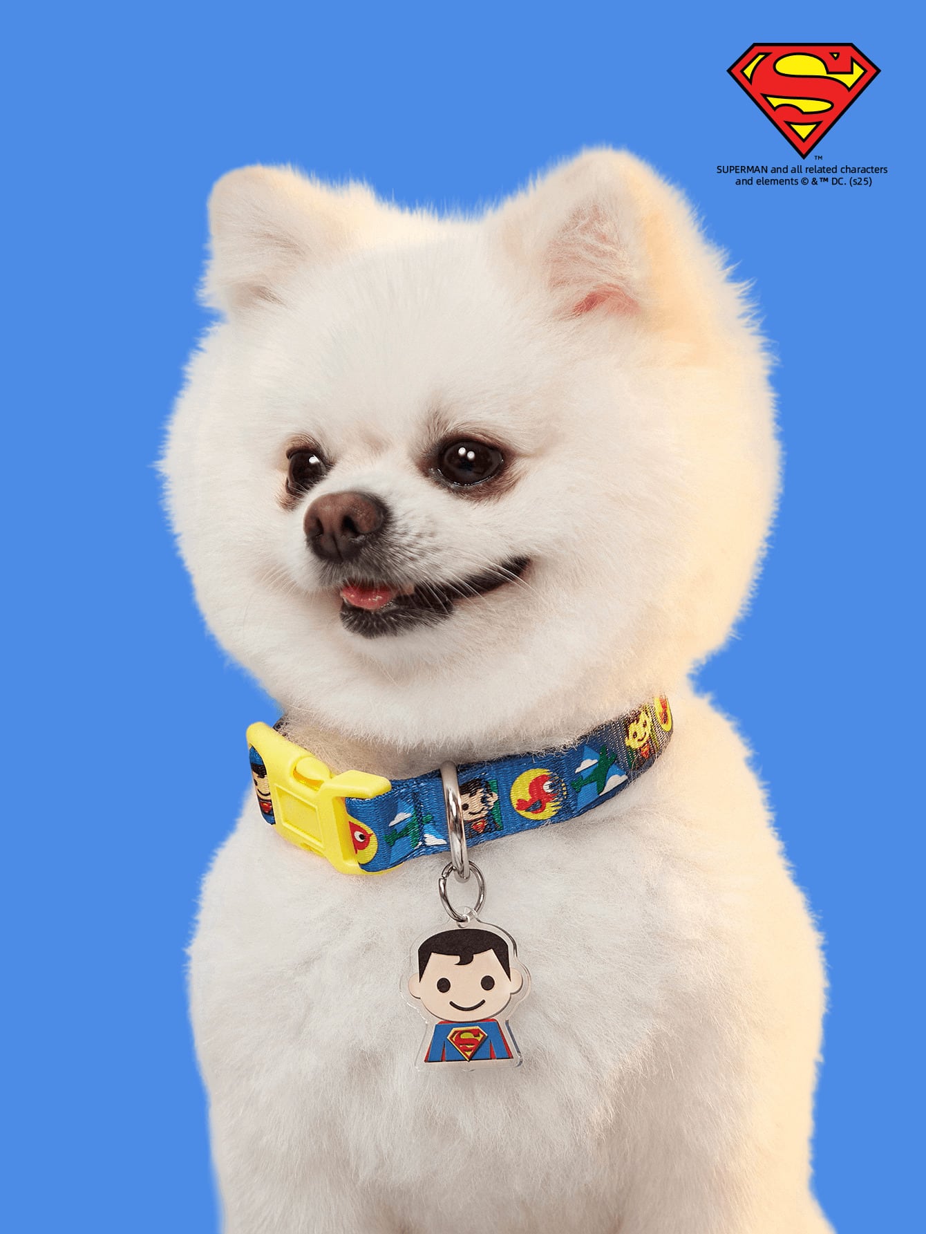 Green polyester X PENSIN pet collar with cartoon pattern and matching pendant for cats and dogs