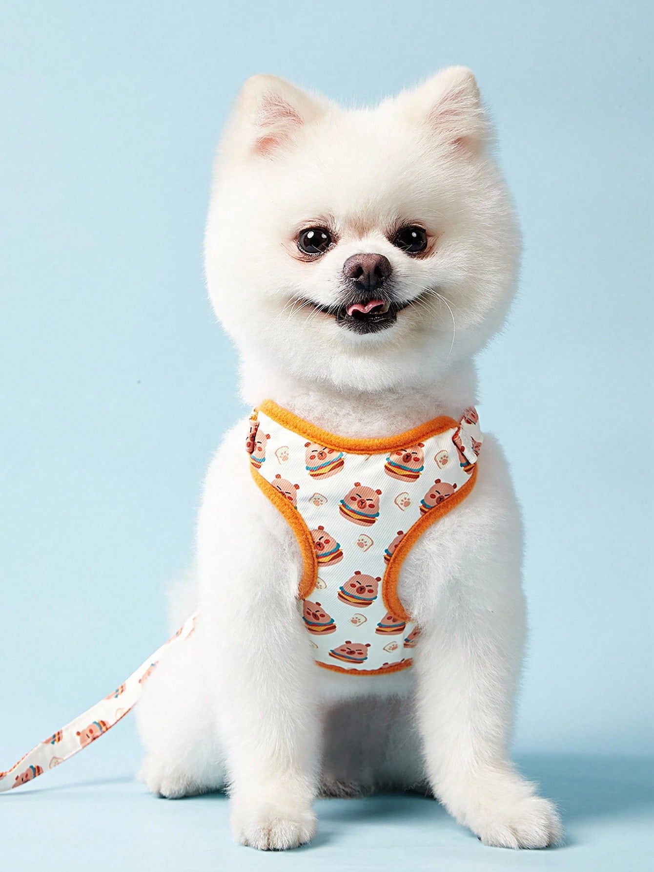 Multicolor polyester chest harness and leash set for cats and dogs with cute hamburger and hamster cartoon print.