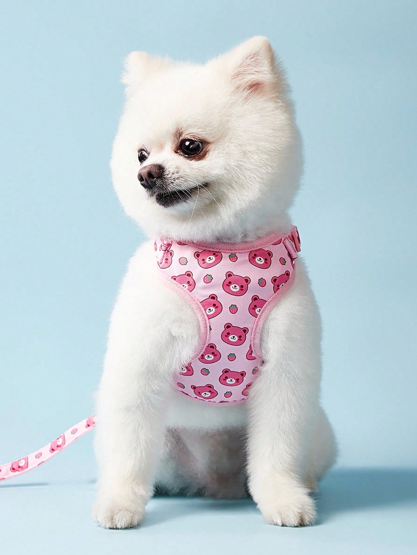 Multicolor polyester chest harness and leash set for cats and dogs with cute hamburger and hamster cartoon all-over print