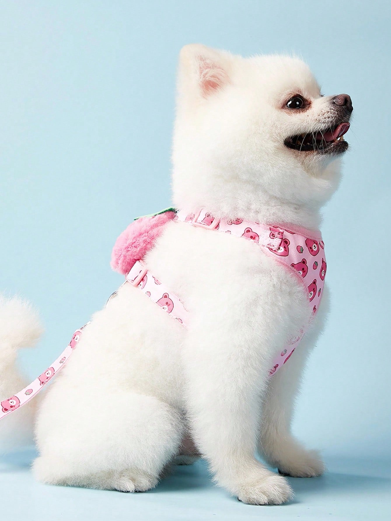 Multicolor polyester chest harness and leash set for cats and dogs with cute hamburger and hamster cartoon all-over print