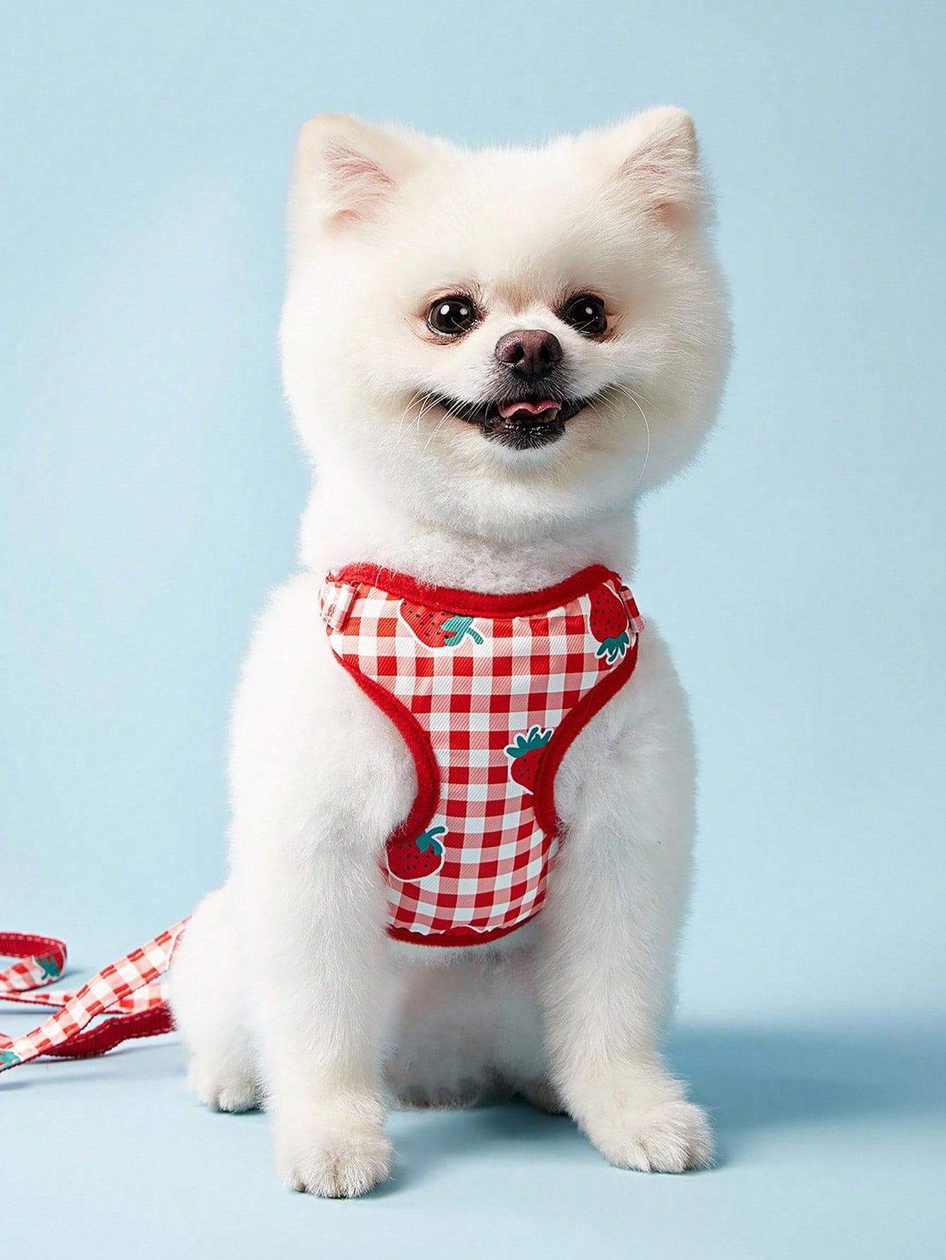 Multicolor strawberry plaid pet harness and leash set for cats and dogs with Christmas pattern print