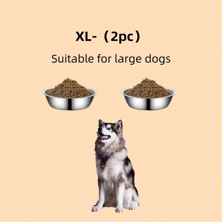 Silver stainless steel pet bowl for dogs and cats with an easy to clean and anti-bite durable design.