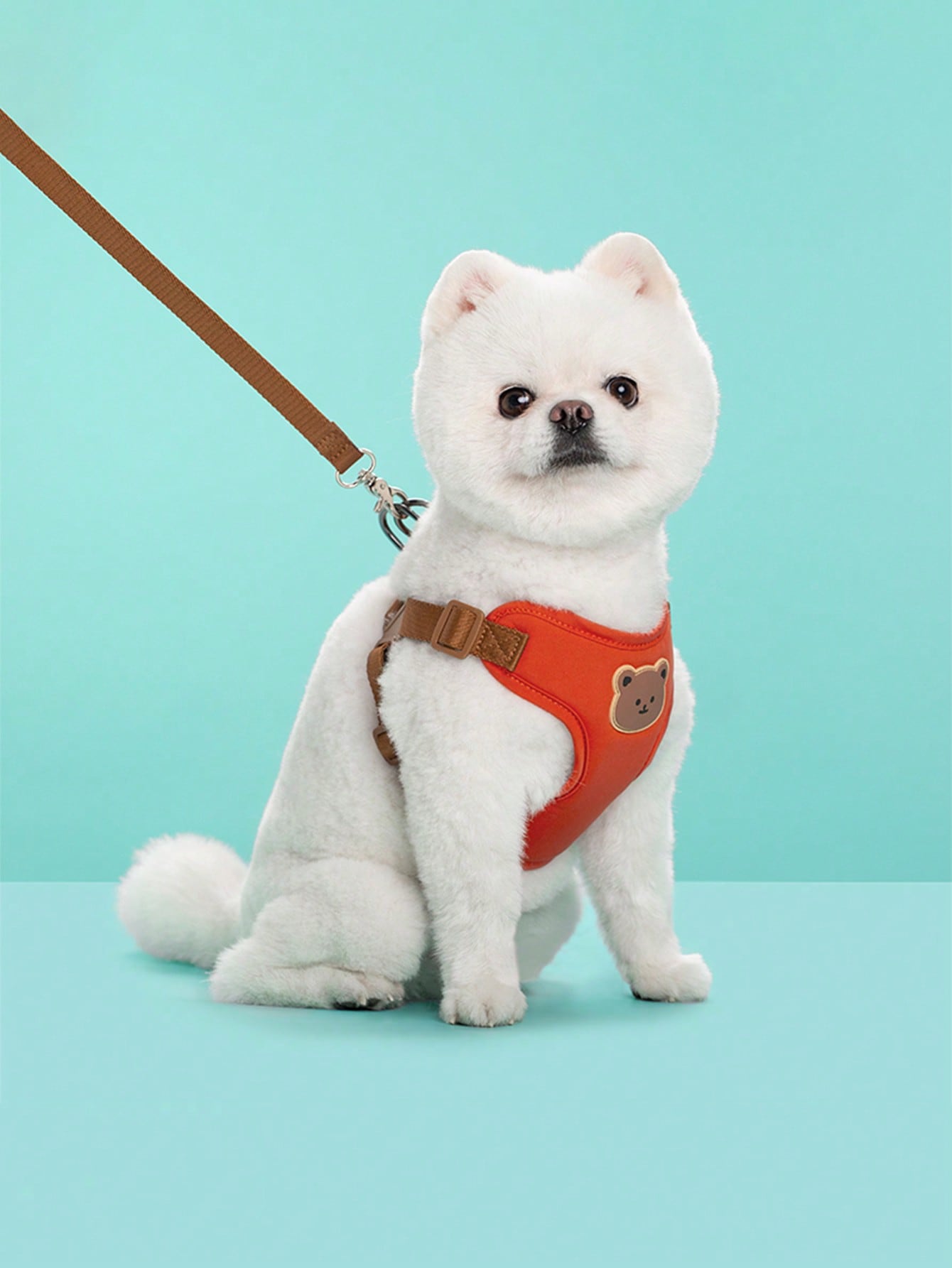 Multicolor polyester dog leash and collar set with plaid teddy bear pattern for small dogs and outdoor walking