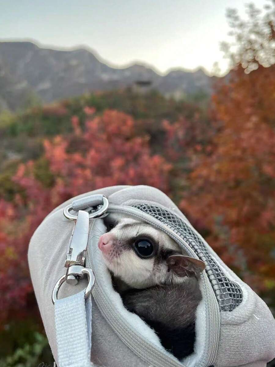 Multicolor hamster outdoor sling bag made of 100% polyester, designed as a warm portable carrier for small pets.