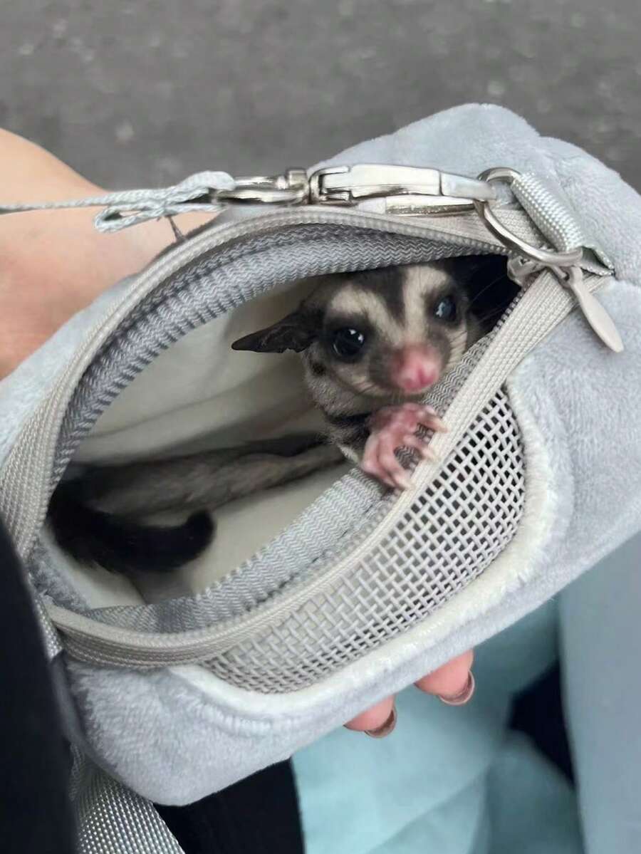 Multicolor hamster outdoor sling bag made of 100% polyester, designed as a warm portable carrier for small pets.