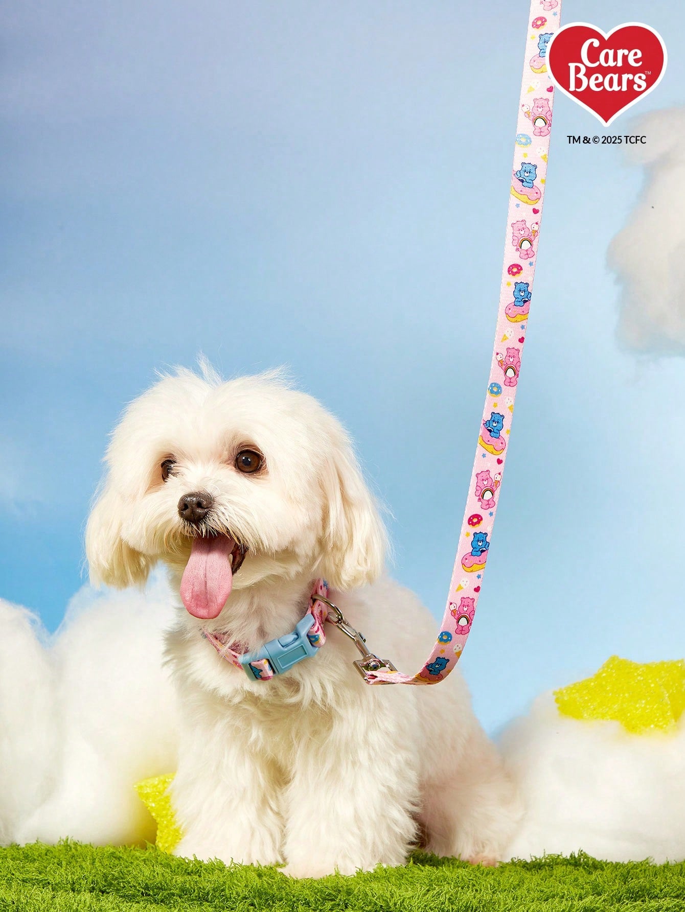 Baby blue polyamide pet leash with colorful heart-shaped bear print and comfortable grip for daily dog walking.