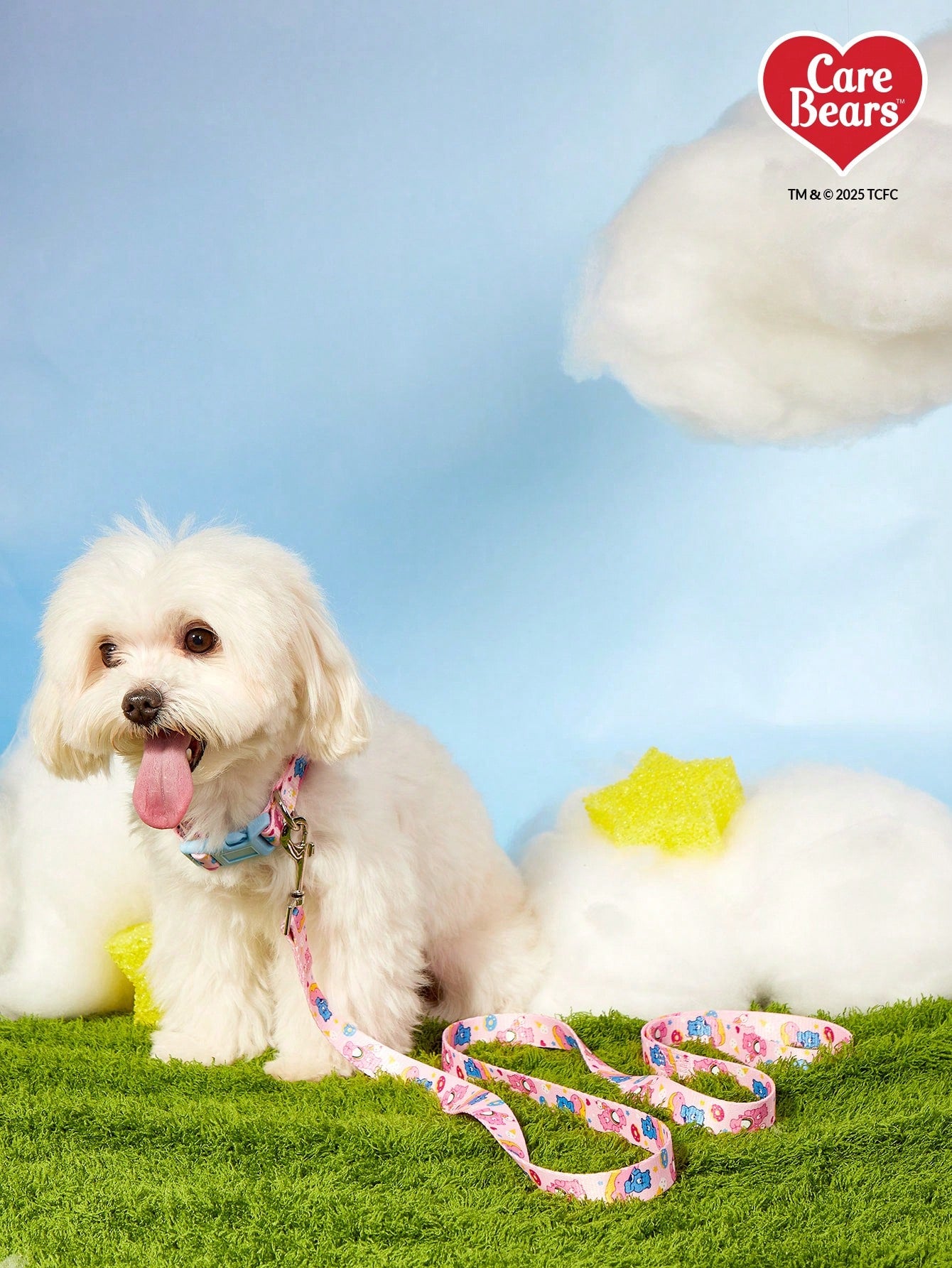 Baby blue polyamide pet leash with colorful heart-shaped bear print and comfortable grip for daily dog walking.