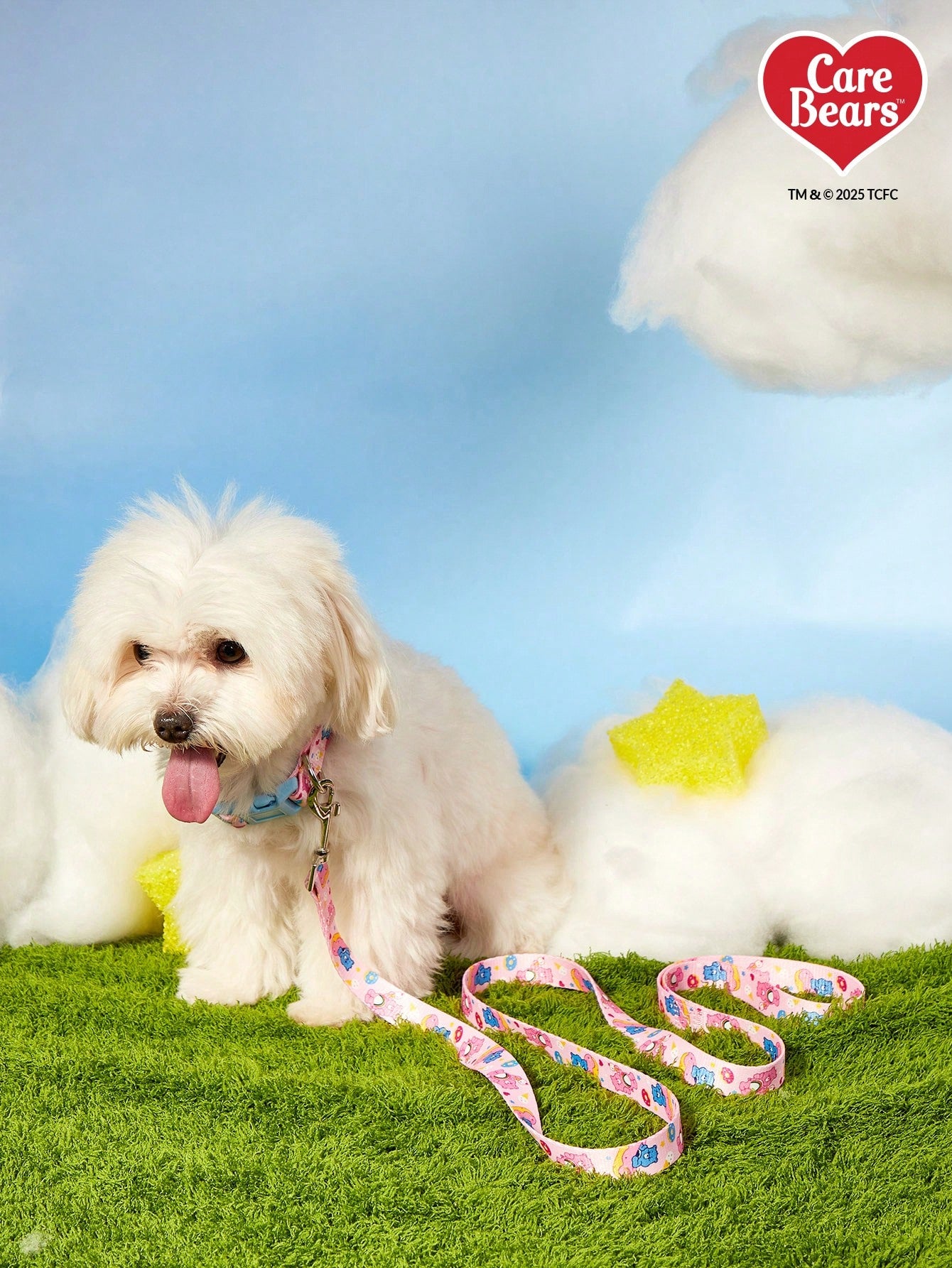 Baby blue polyamide pet leash with colorful heart-shaped bear print and comfortable grip for daily dog walking.