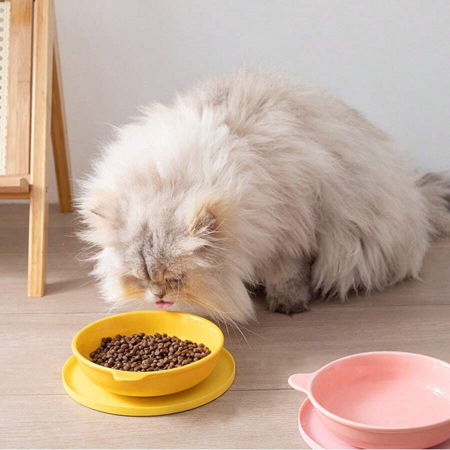Round multicolor silicone pet food mat with raised edges for cats and dogs.