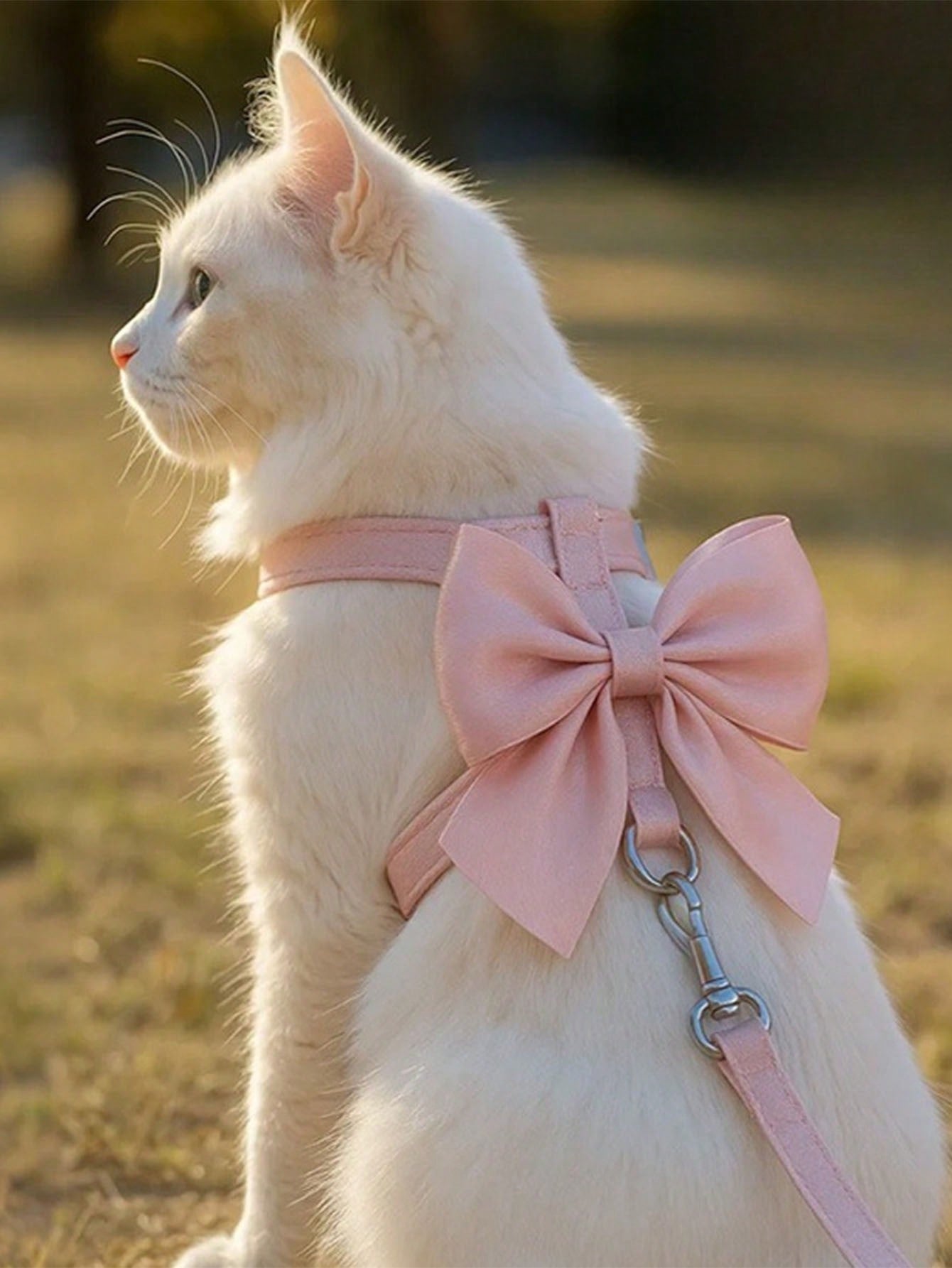 Multicolor polyester cat harness and leash set with bow-knot chest strap, escape-proof design, and soft comfortable fit for small and medium cats outdoors
