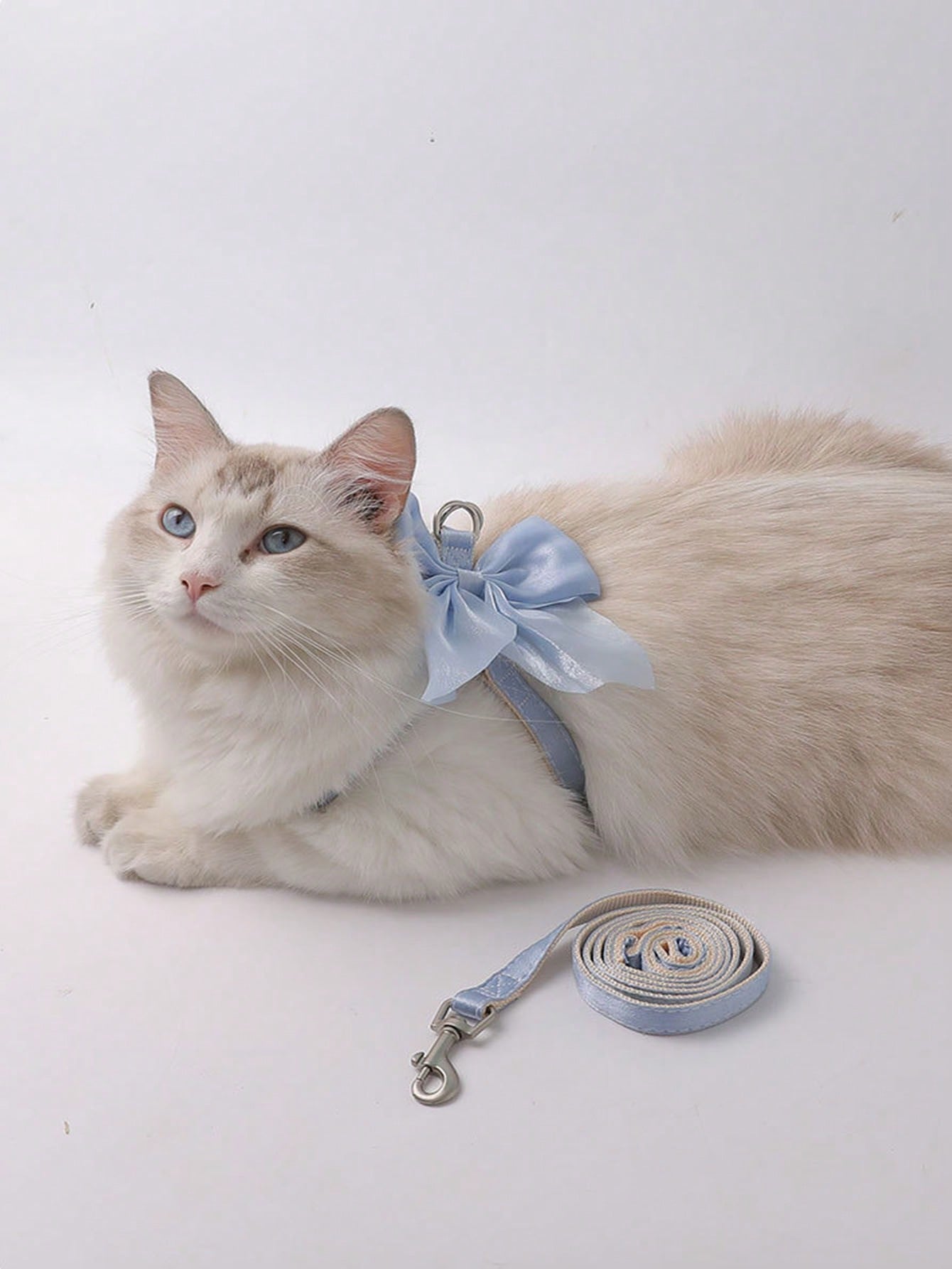 Multicolor polyester cat harness and leash set with bow-knot chest strap, escape-proof design, and soft comfortable fit for small and medium cats outdoors