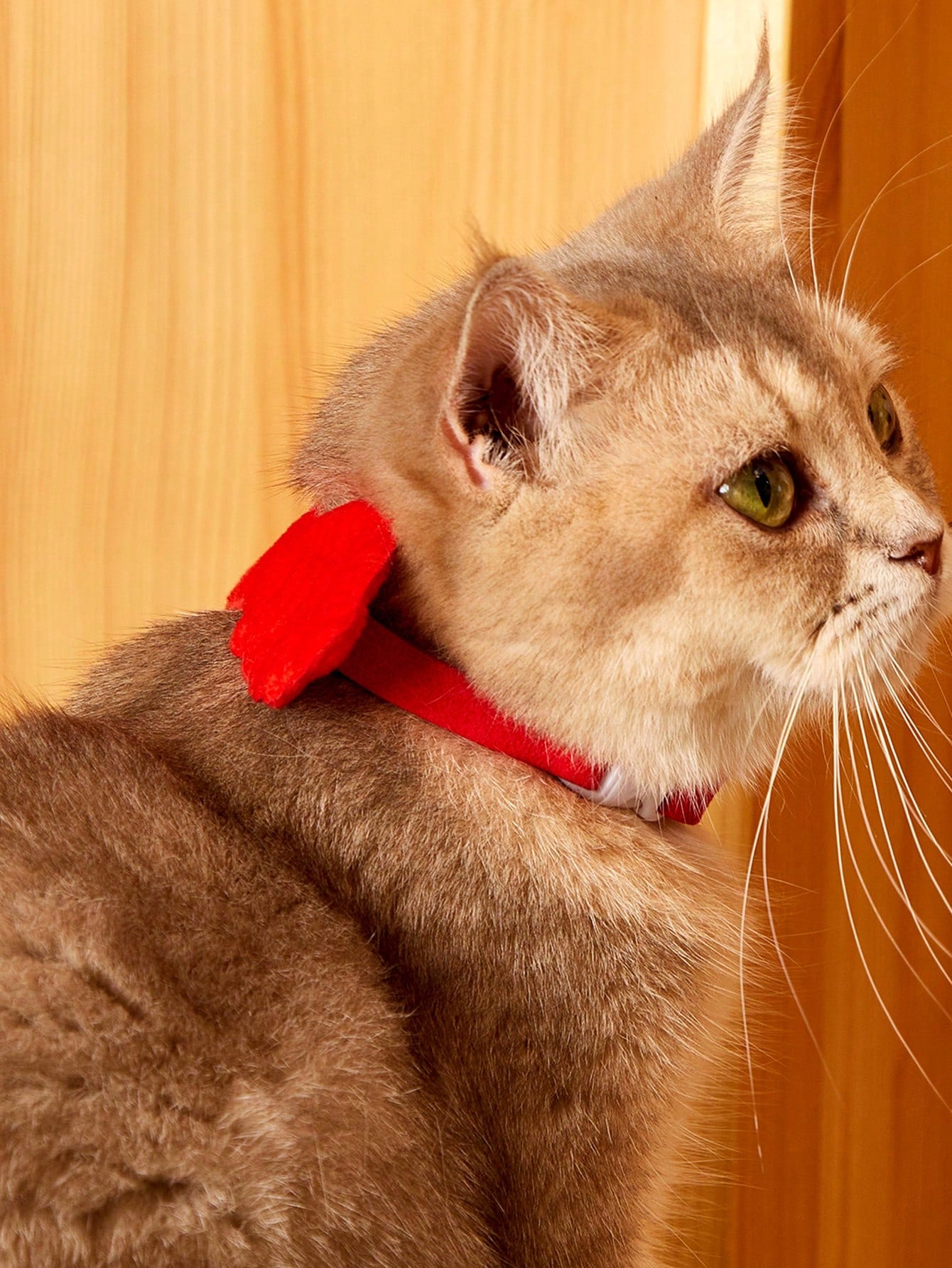 Pink pet angel wing collar accessory with white bow tie costume detail for cats and dogs, suitable for Halloween and Christmas pet apparel