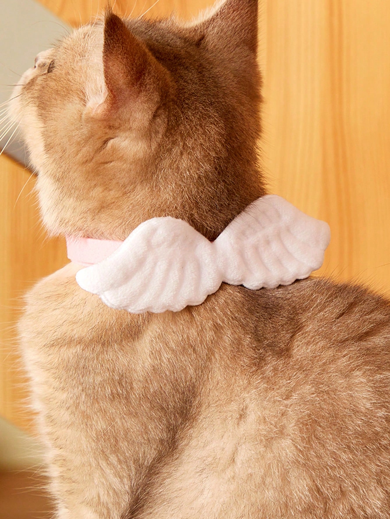 Pink pet angel wing collar accessory with white bow tie costume detail for cats and dogs, suitable for Halloween and Christmas pet apparel