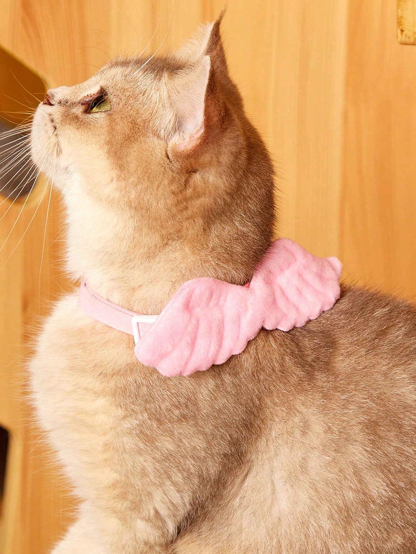 Pink pet angel wing collar accessory with white bow tie costume detail for cats and dogs, suitable for Halloween and Christmas pet apparel