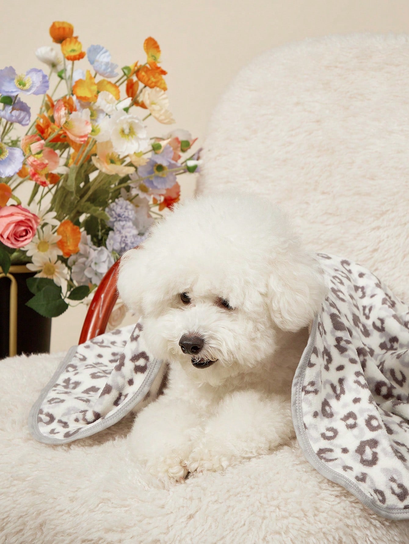 Multicolor plush pet blanket with a black spotted geometric pattern laid out for cats and dogs.