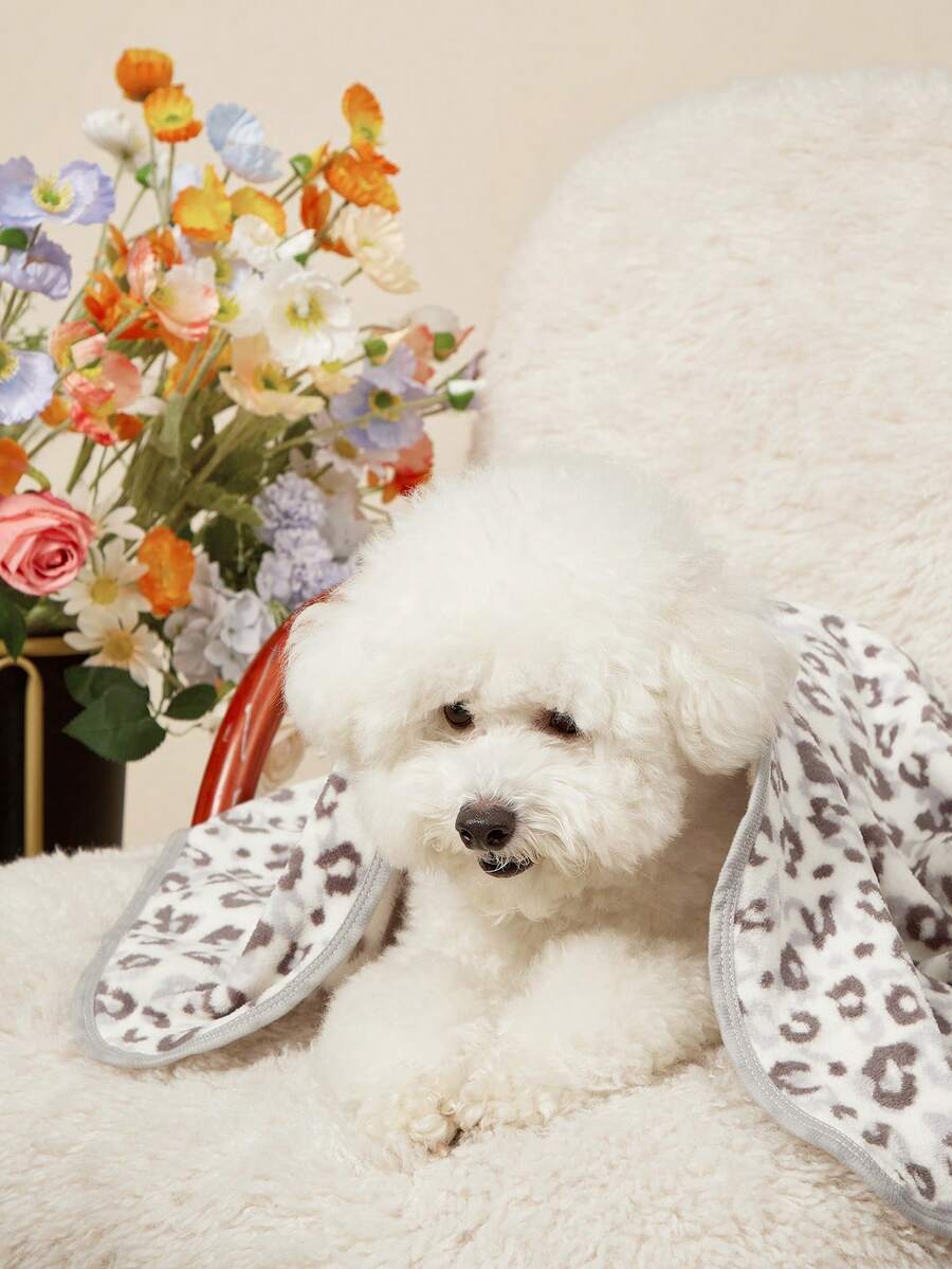 Multicolor plush pet blanket with a black spotted geometric pattern laid out for cats and dogs.