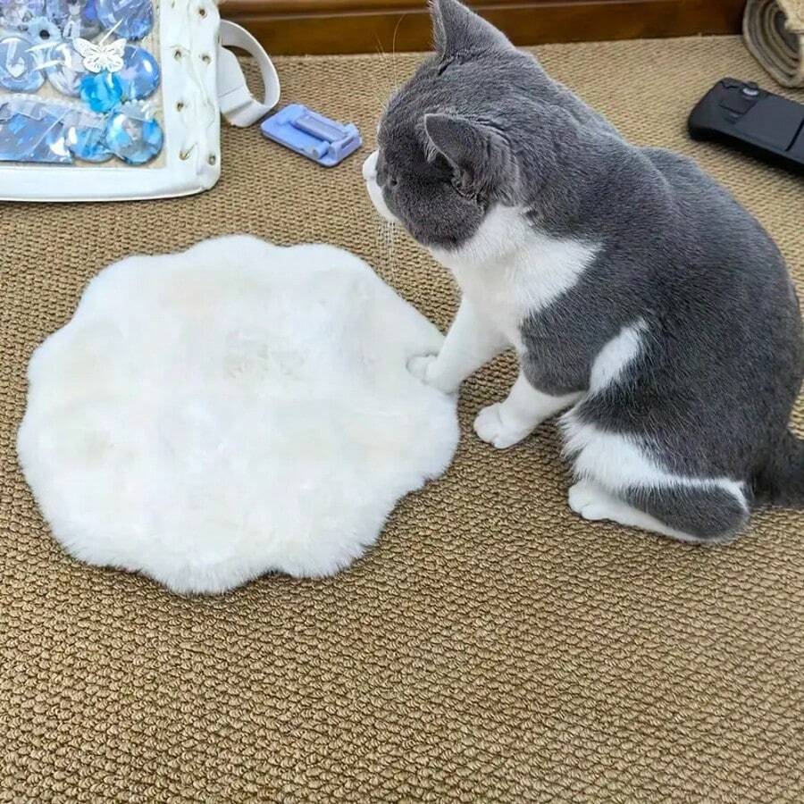 Multicolor round pet sleeping pad made of soft 100% polyester fabric suitable for cats and small pets.