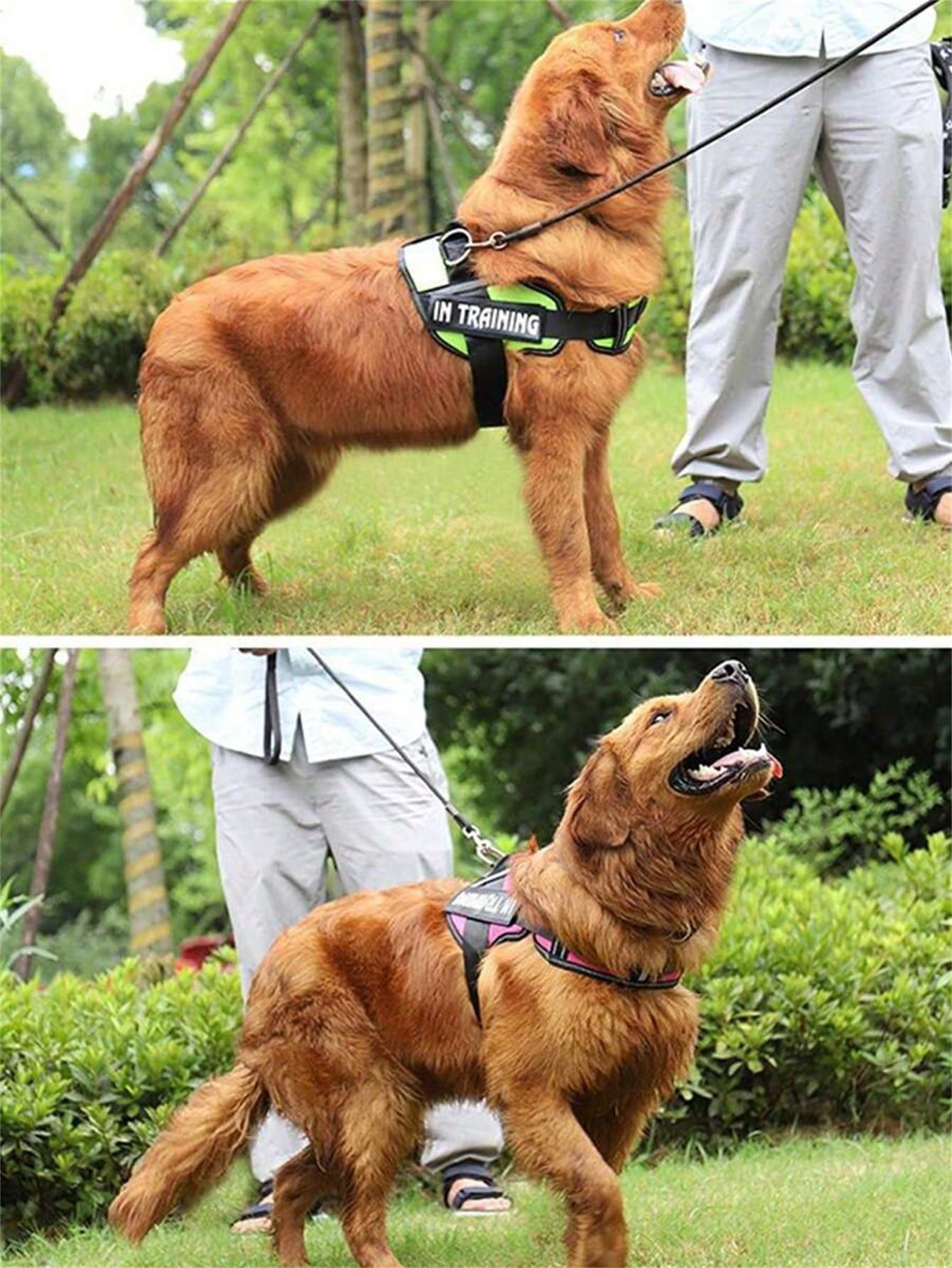 Multicolor reflective no-pull dog harness training vest with adjustable breathable chest strap for small, medium, and large dogs