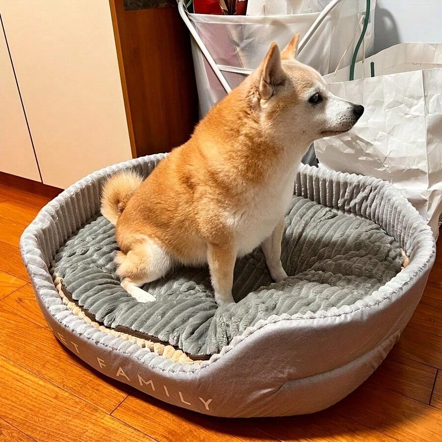 Grey washable round dog bed with dual-sided high and low side design filled with cotton for cats and dogs.