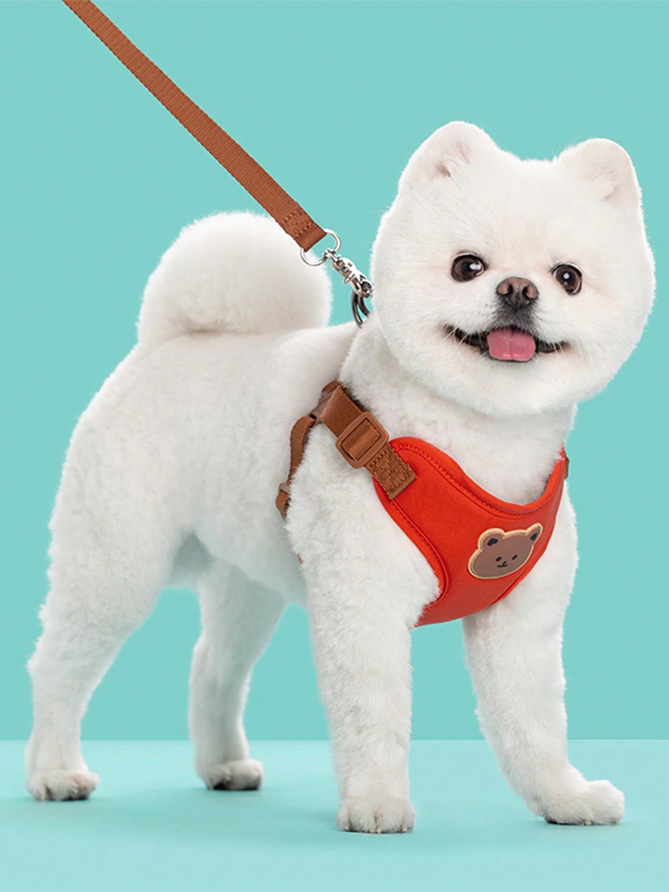 Multicolor polyester dog leash and collar set with plaid teddy bear pattern for small dogs and outdoor walking
