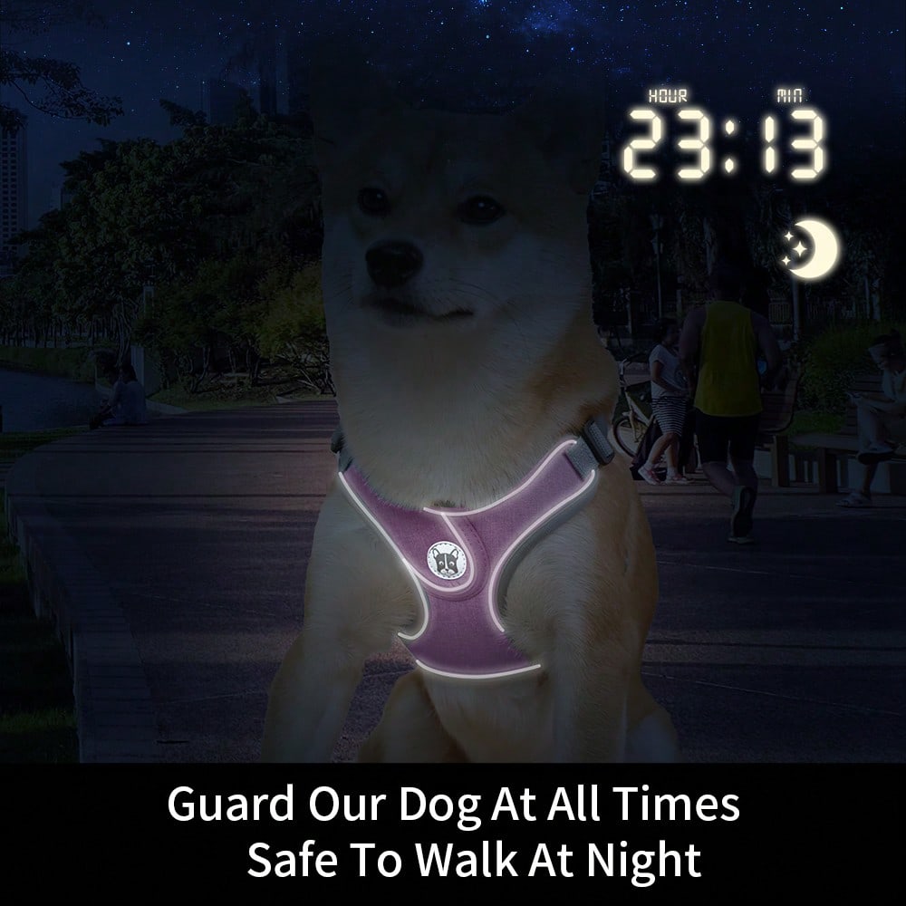 Adjustable padded dog harness set with leash in a reflective vest style for small and medium dogs, polyester colorblock design