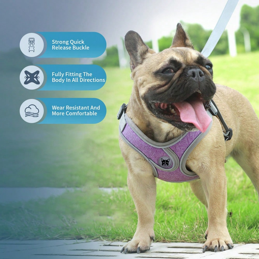 Adjustable padded dog harness set with leash in a reflective vest style for small and medium dogs, polyester colorblock design